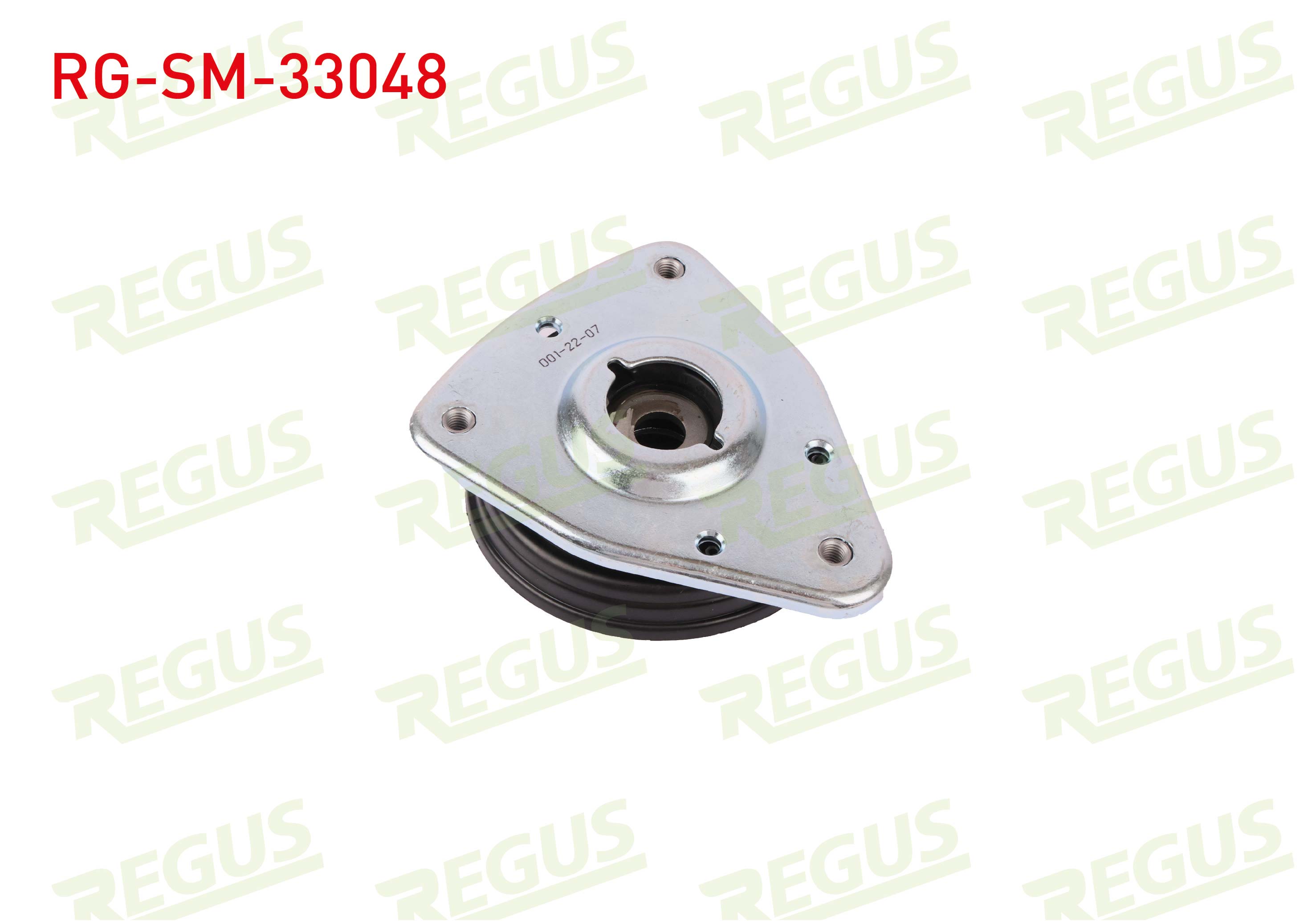 REGUS 63-13117