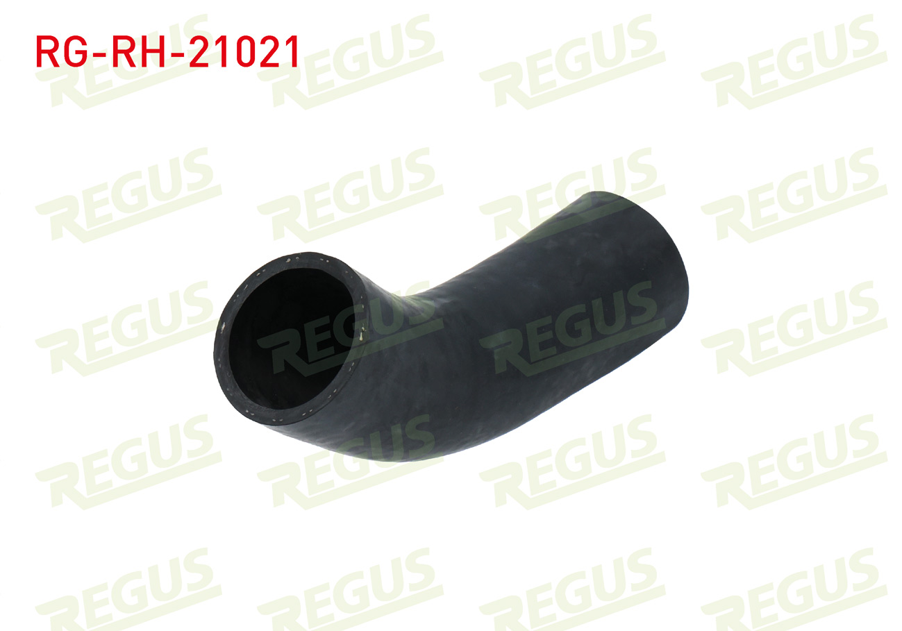REGUS 
