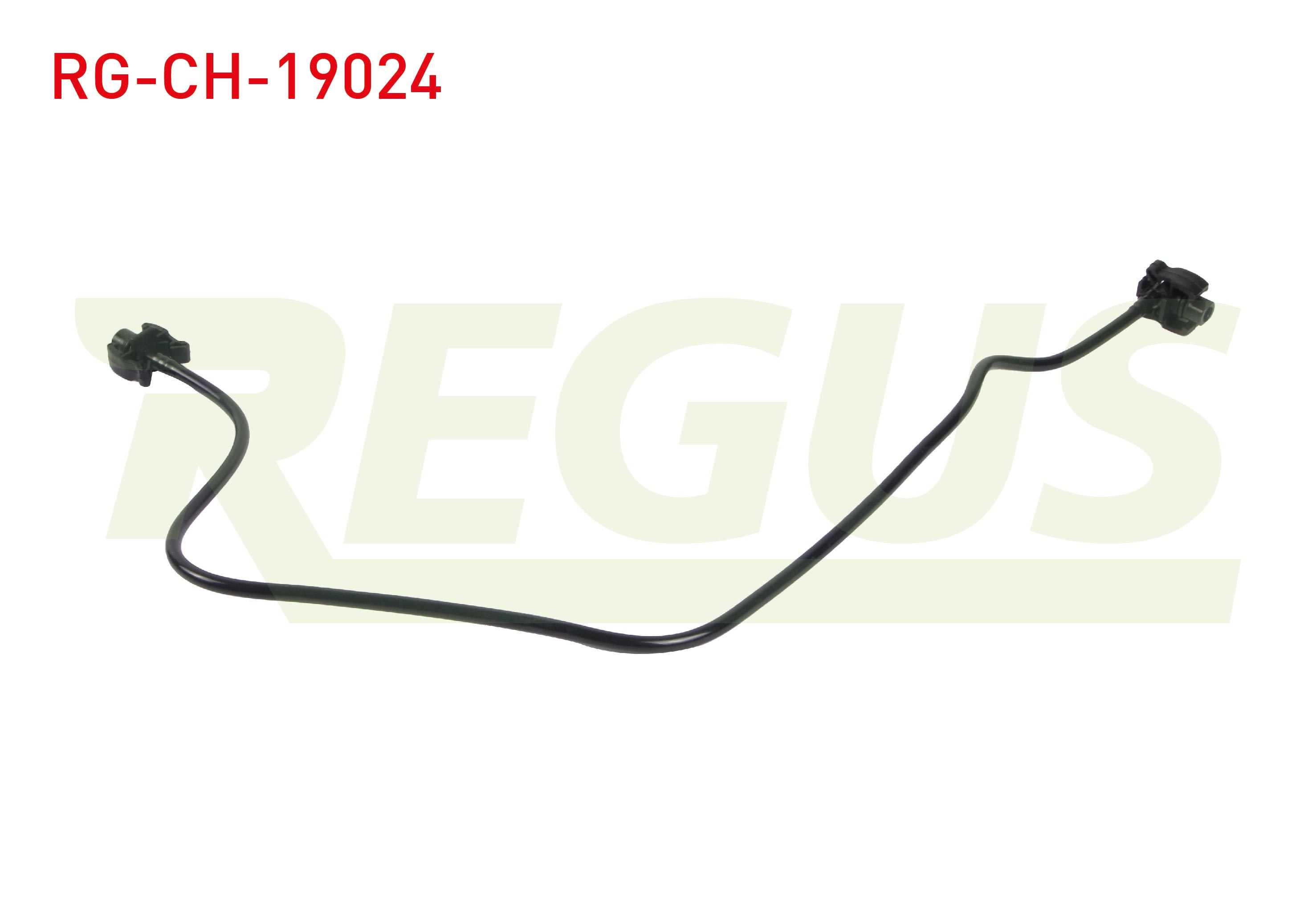 REGUS 