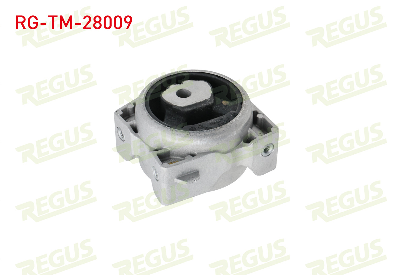 REGUS 30007 | SANZIMAN TAKOZU ARKA SOL MERCEDES A CLASS (W169) A 150 2004-2012
