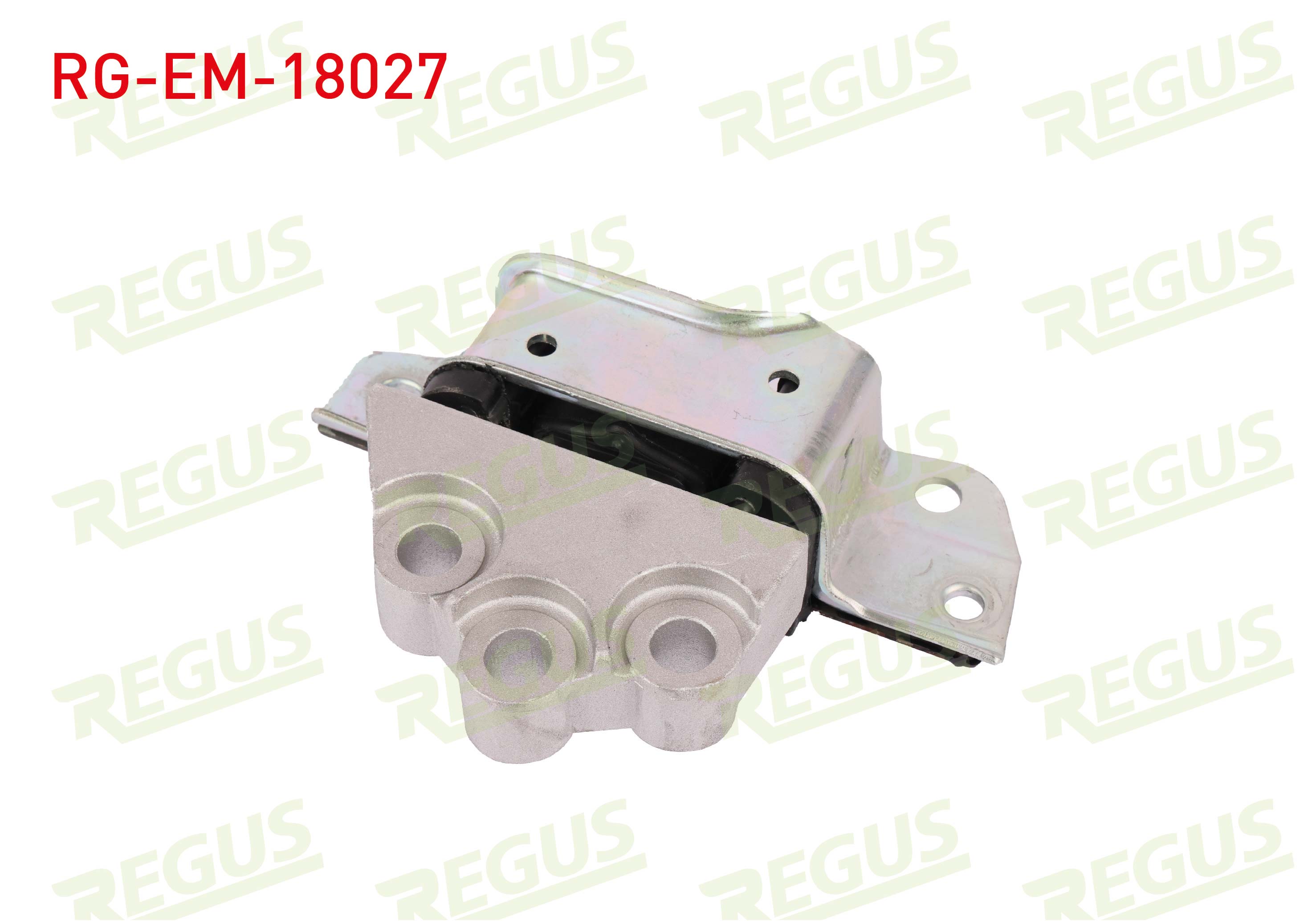 REGUS 61-13276