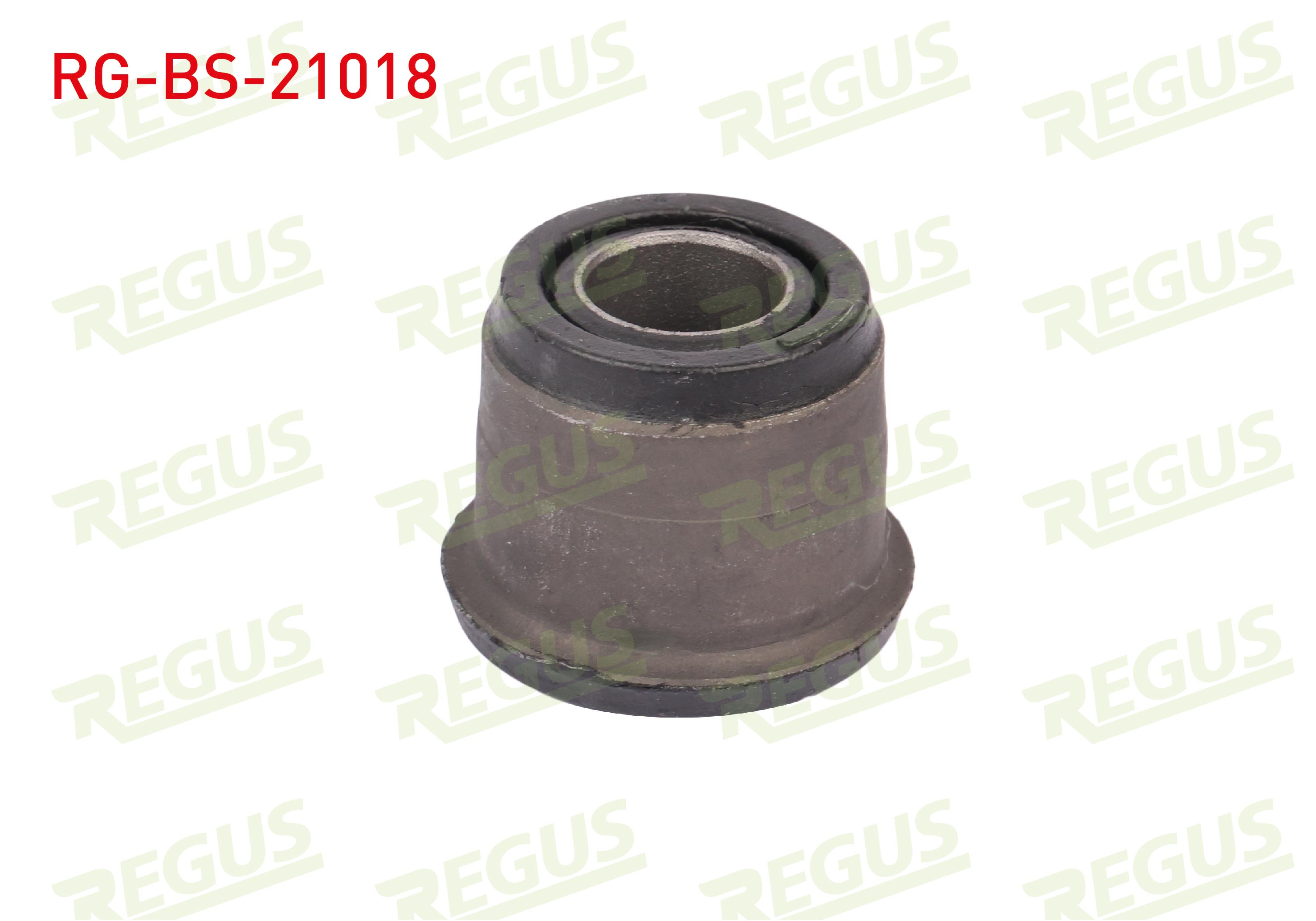 REGUS 57-05738