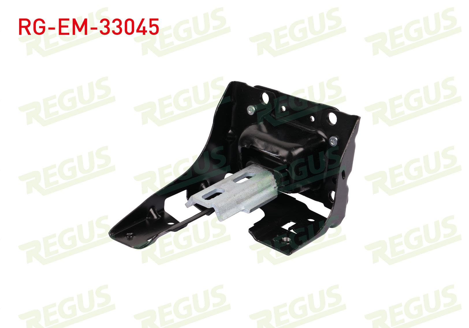 REGUS 