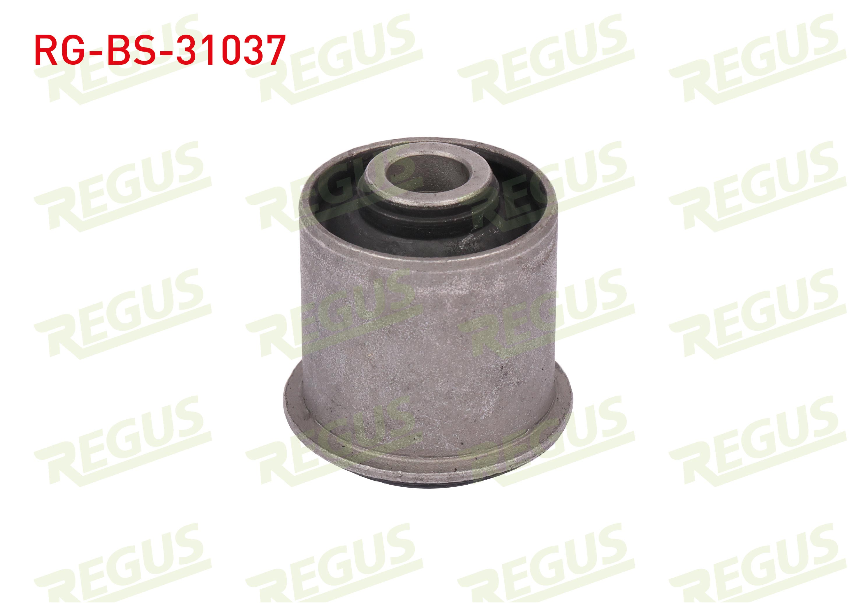 REGUS 57-11239