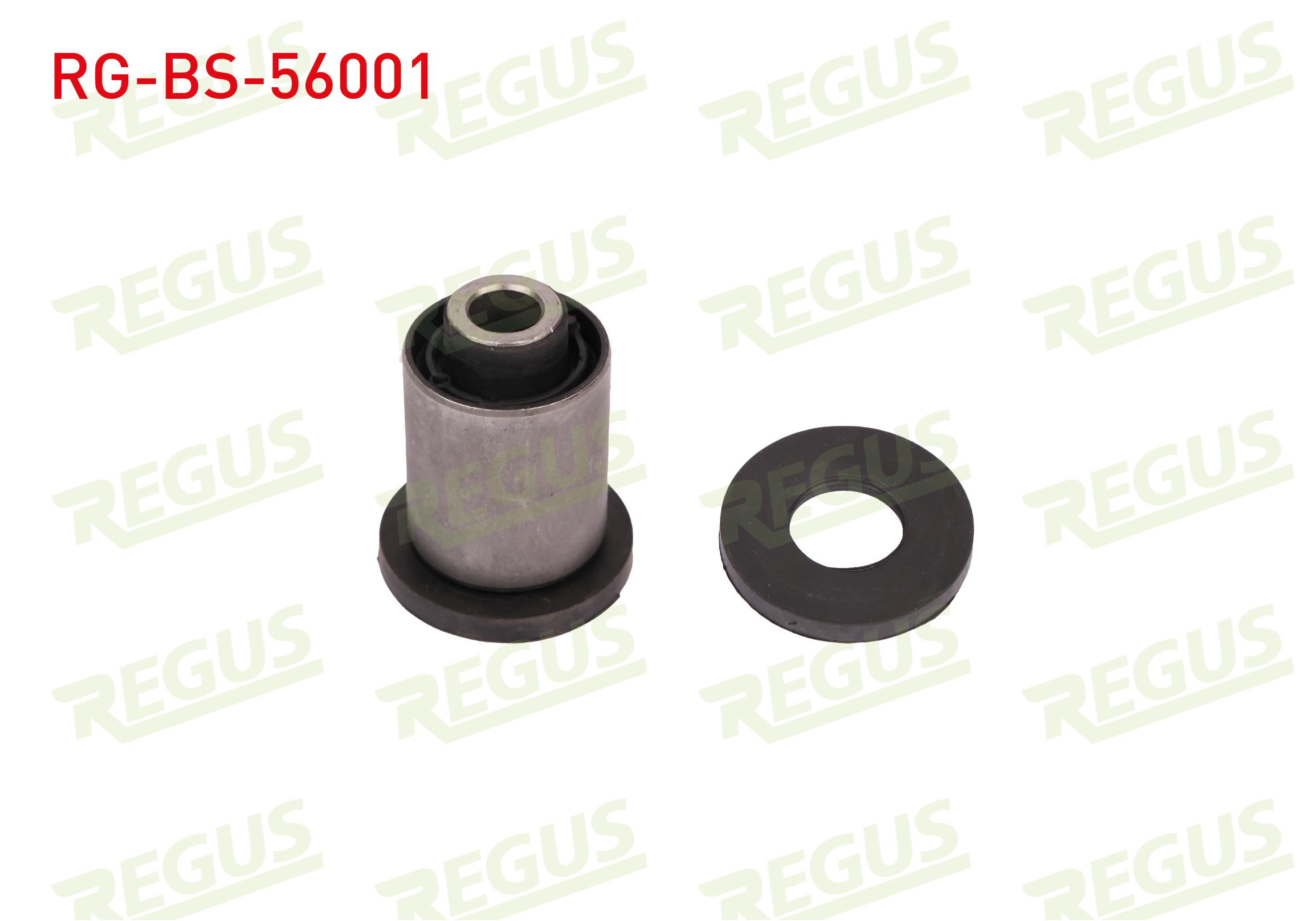 REGUS 57-01345