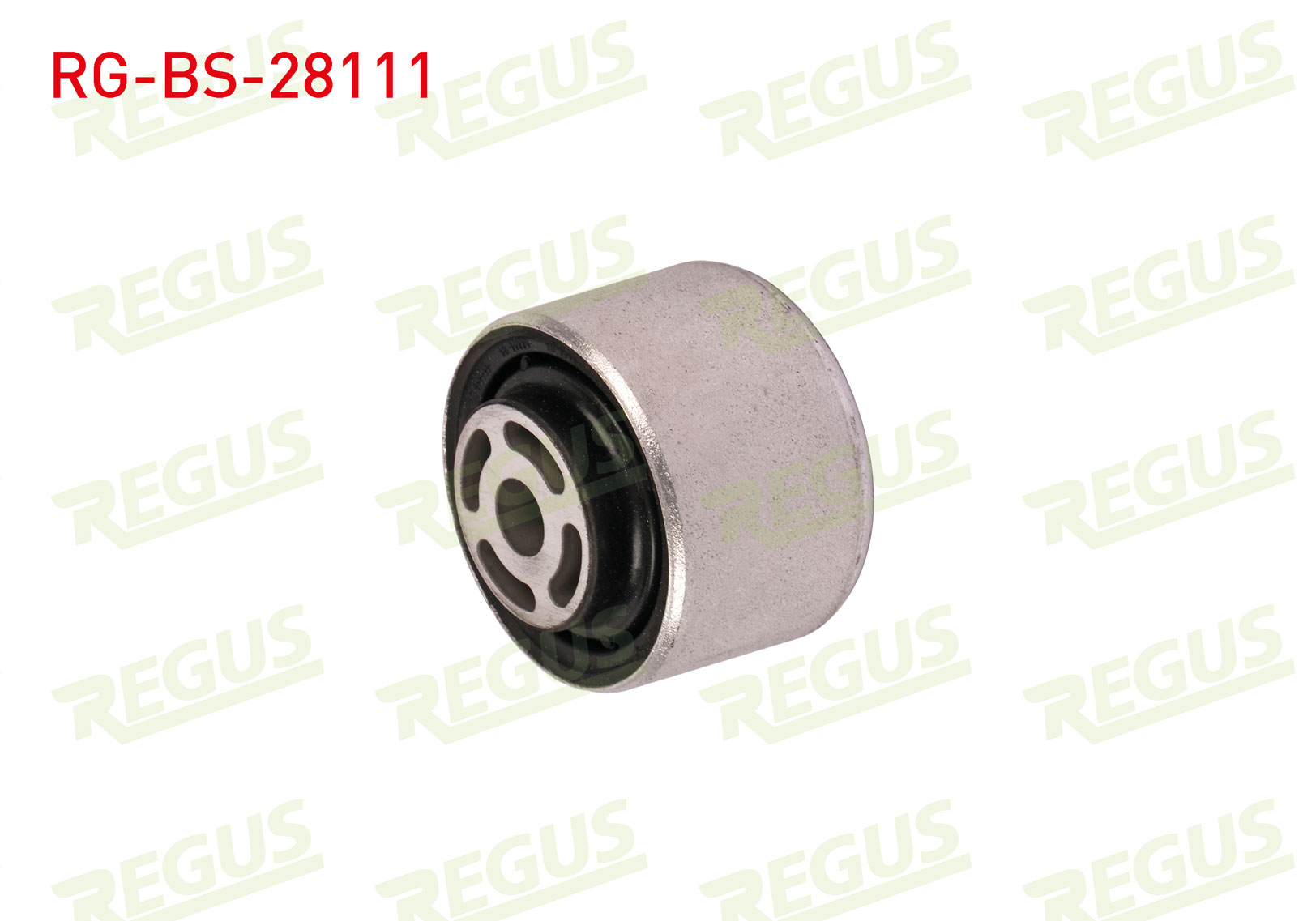 REGUS 62-10919