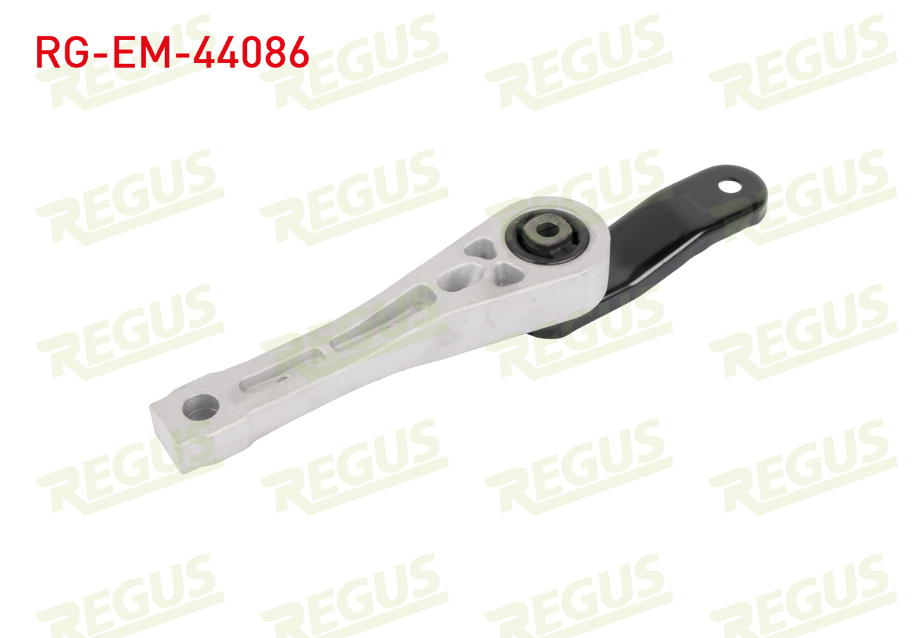 REGUS 61-10913
