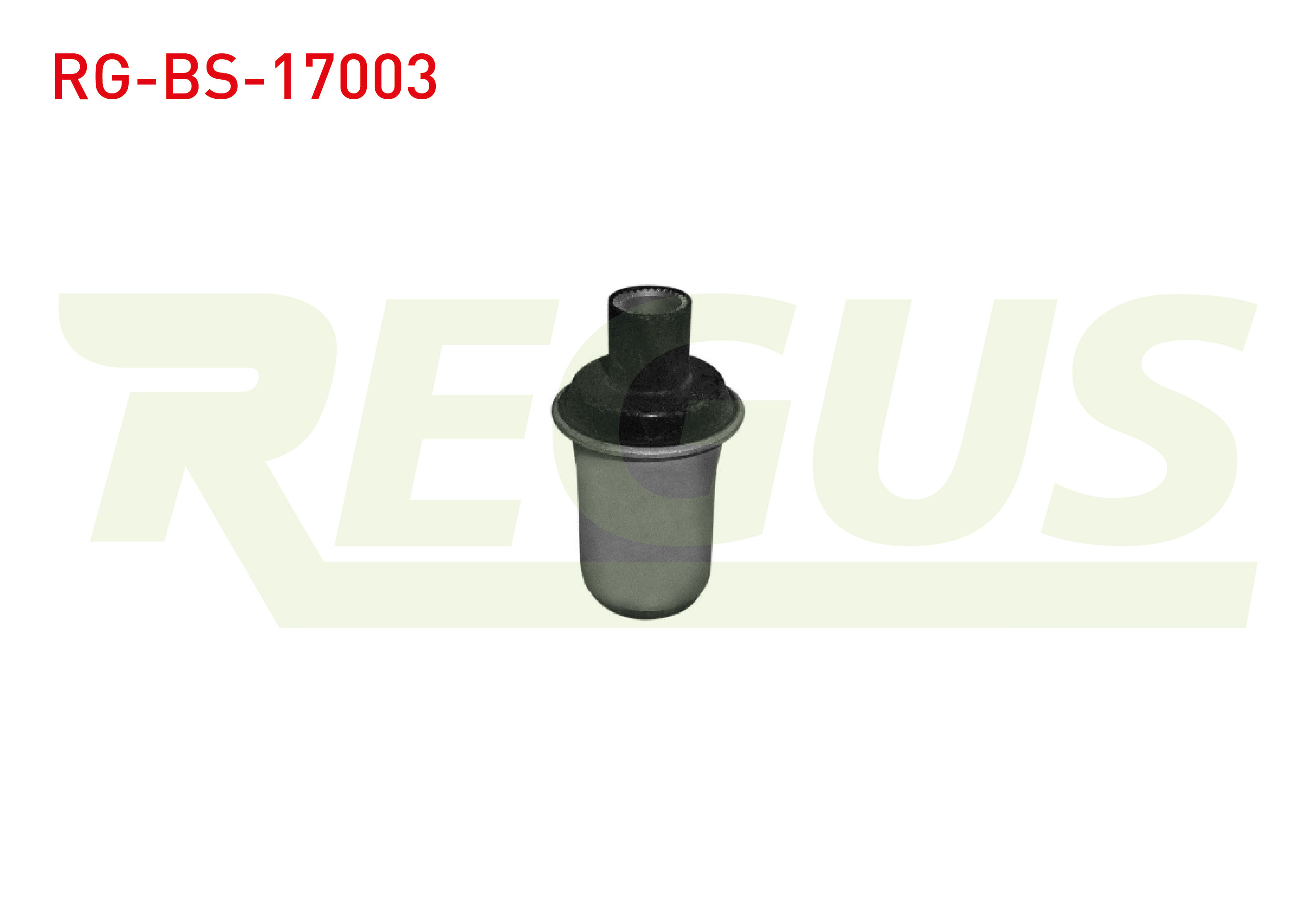 REGUS 