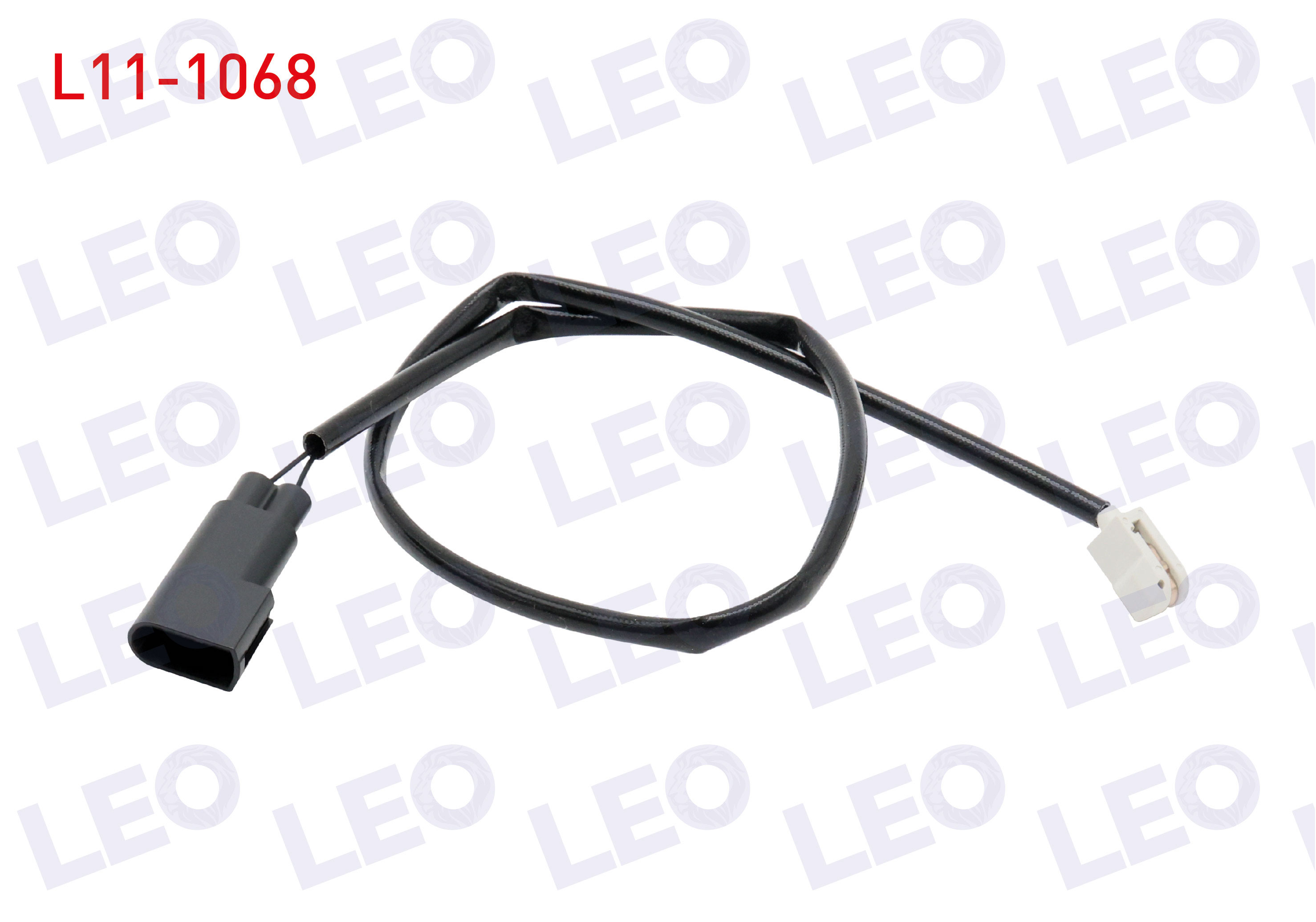 LEO 