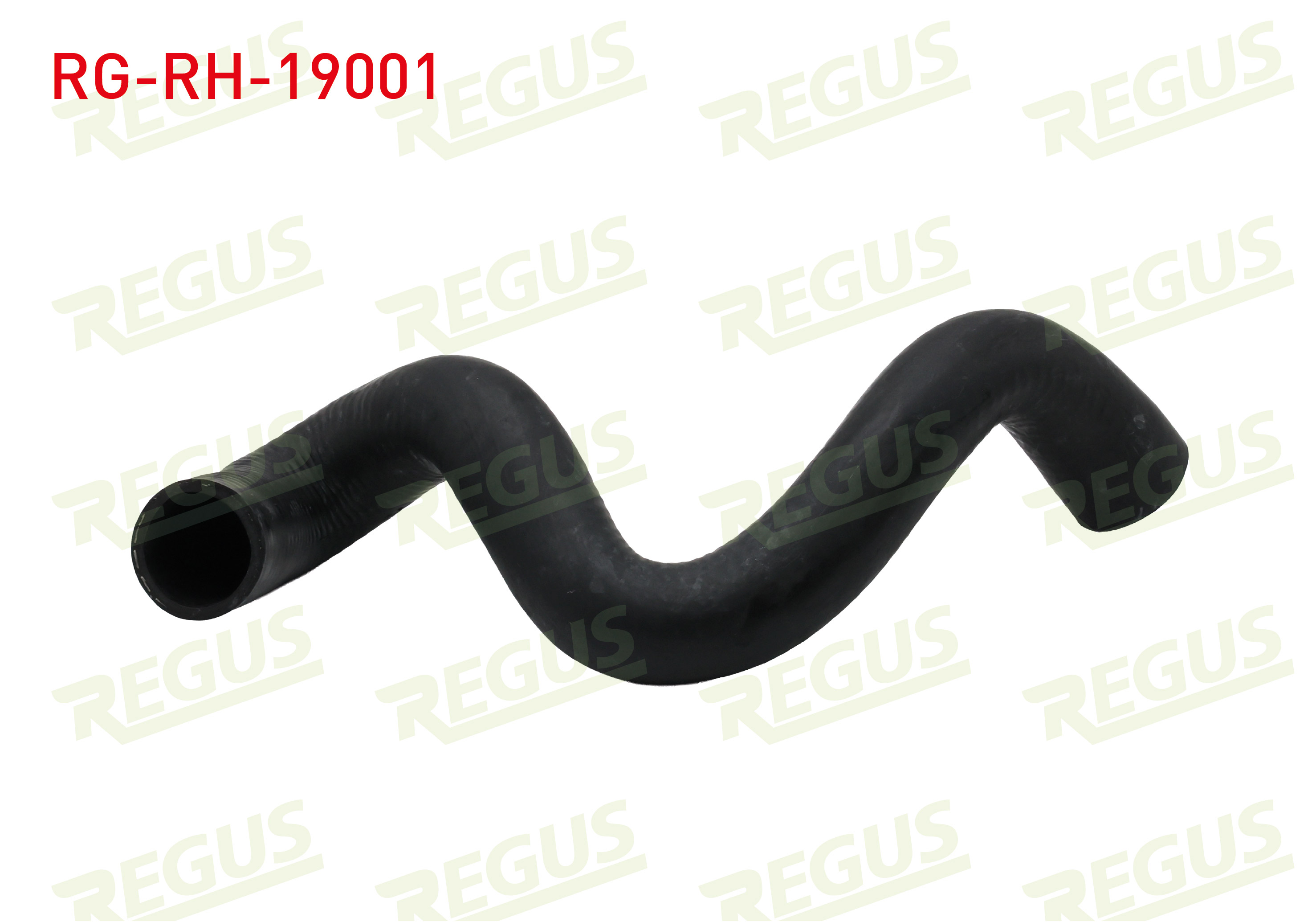 REGUS 19942 | RADYATOR HORTUMU ALT FORD FOCUS II (DA) 1.4i 2004-2011