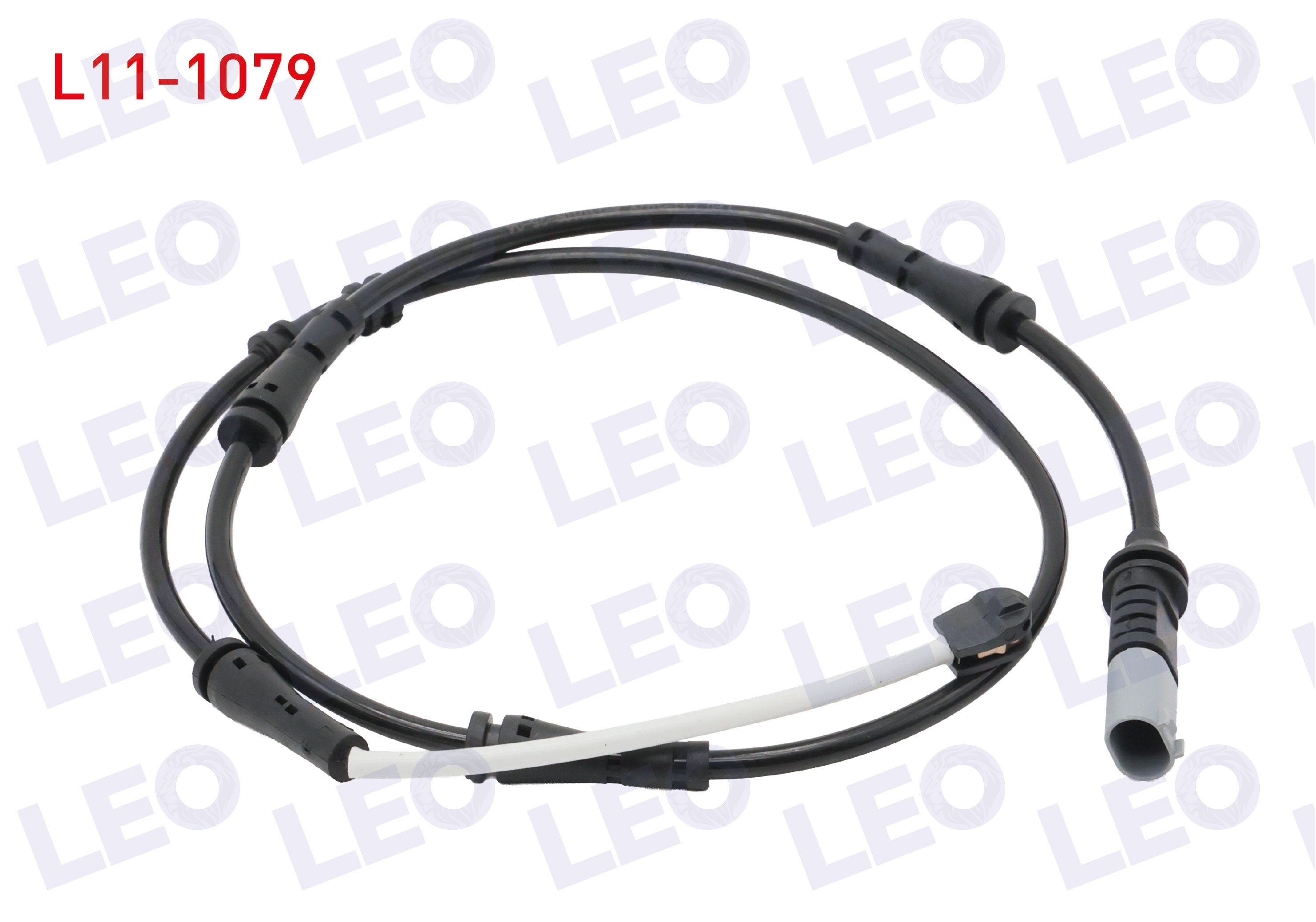 LEO 