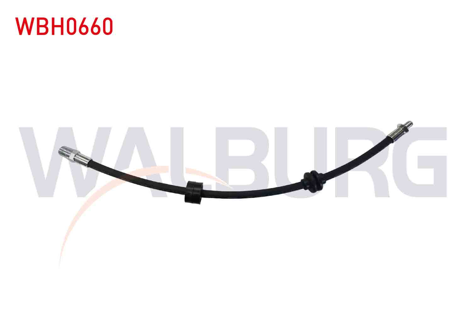 WALBURG AH0785