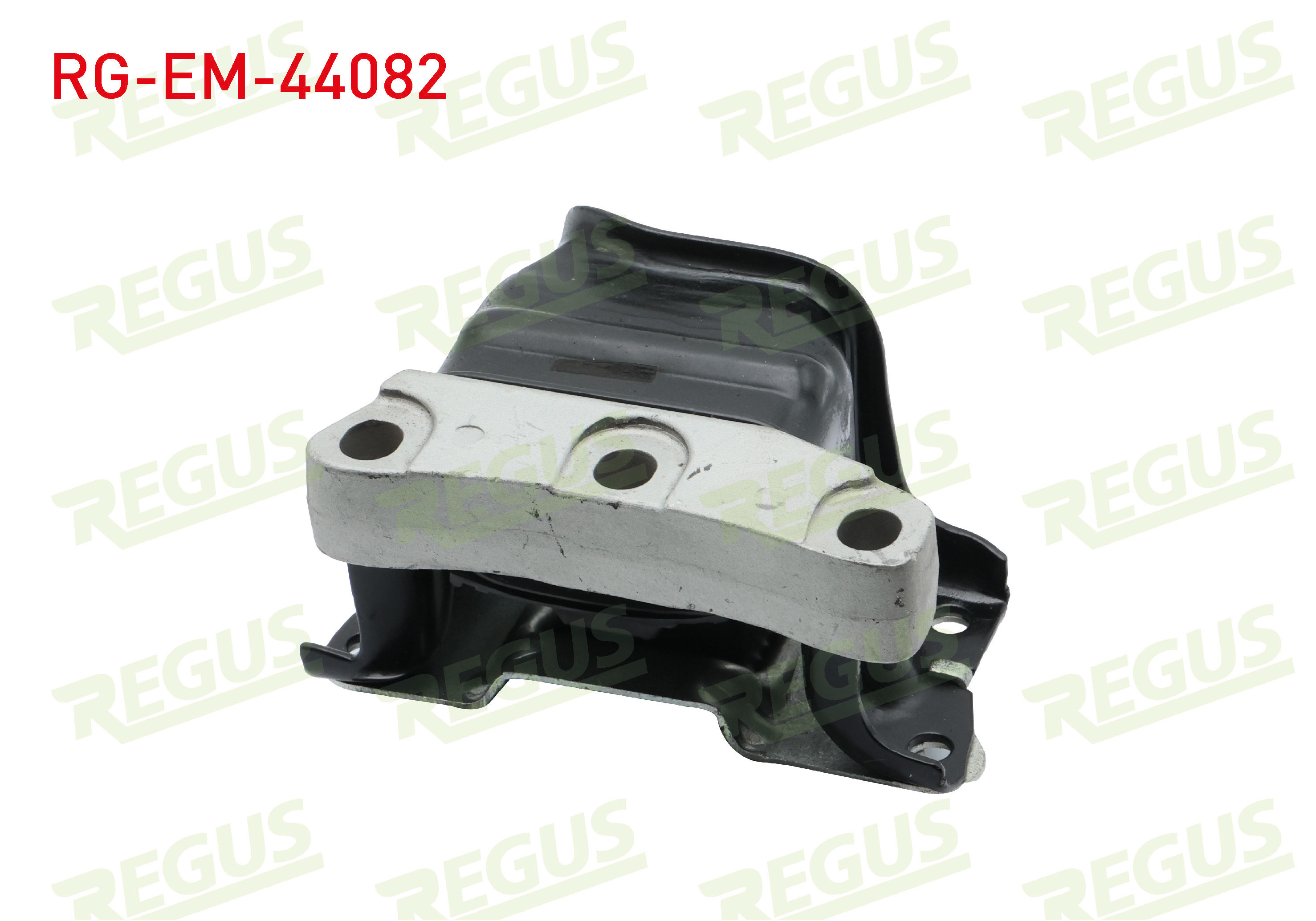 REGUS 61-10911
