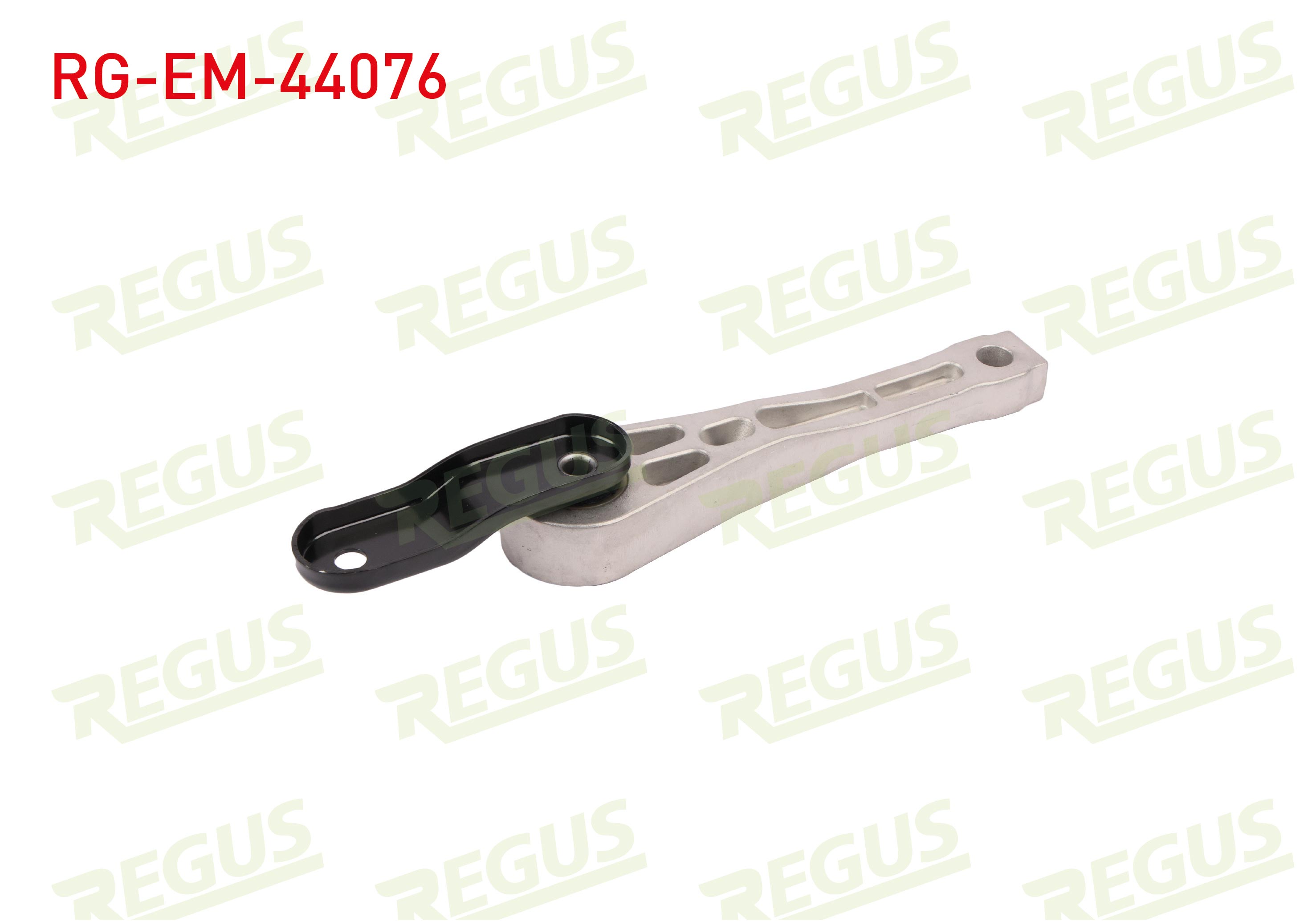 REGUS 
