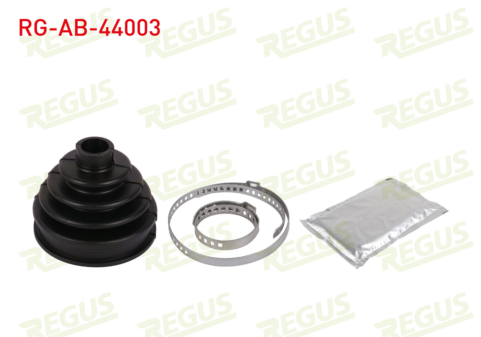 REGUS 