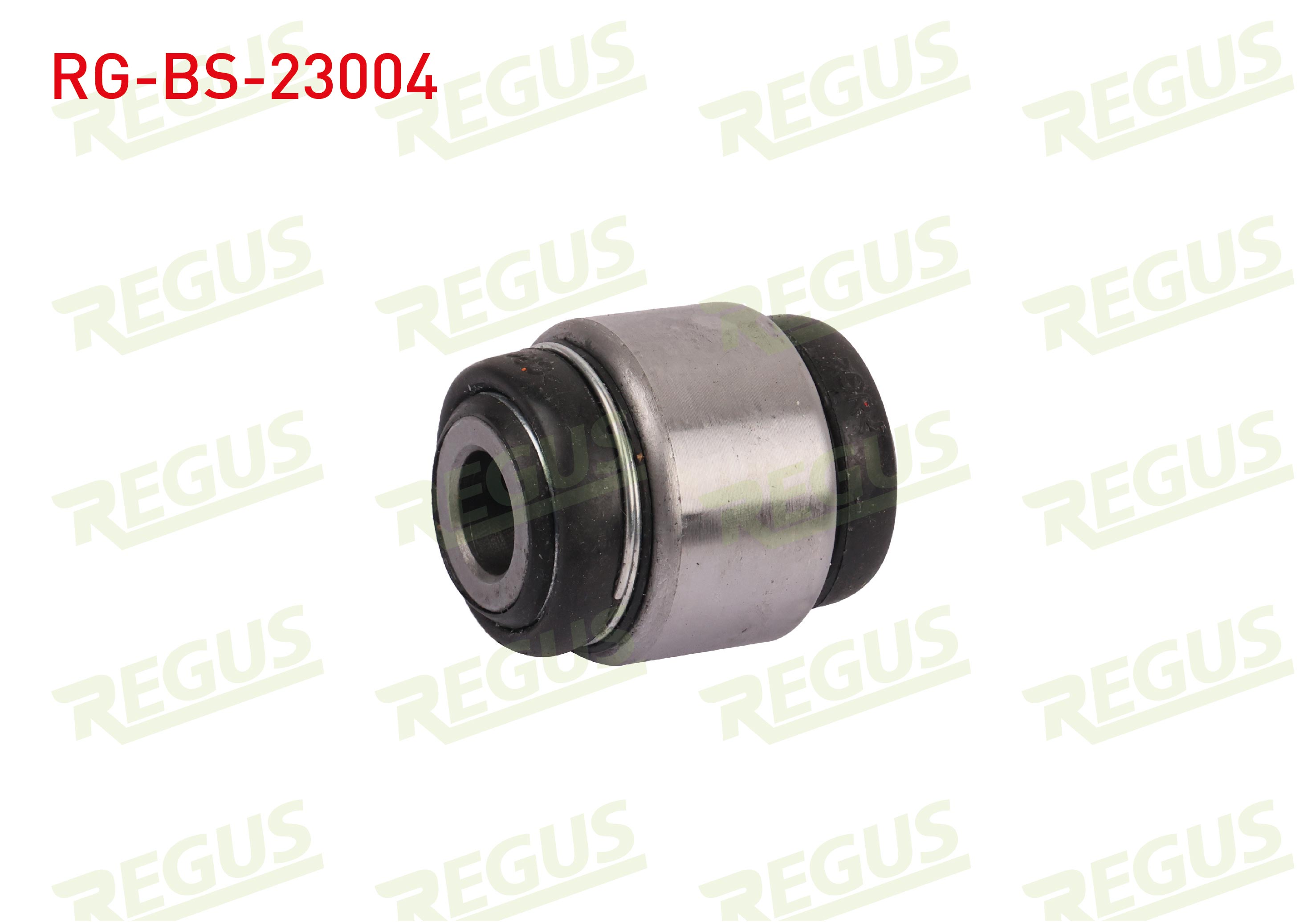 REGUS 57-01967