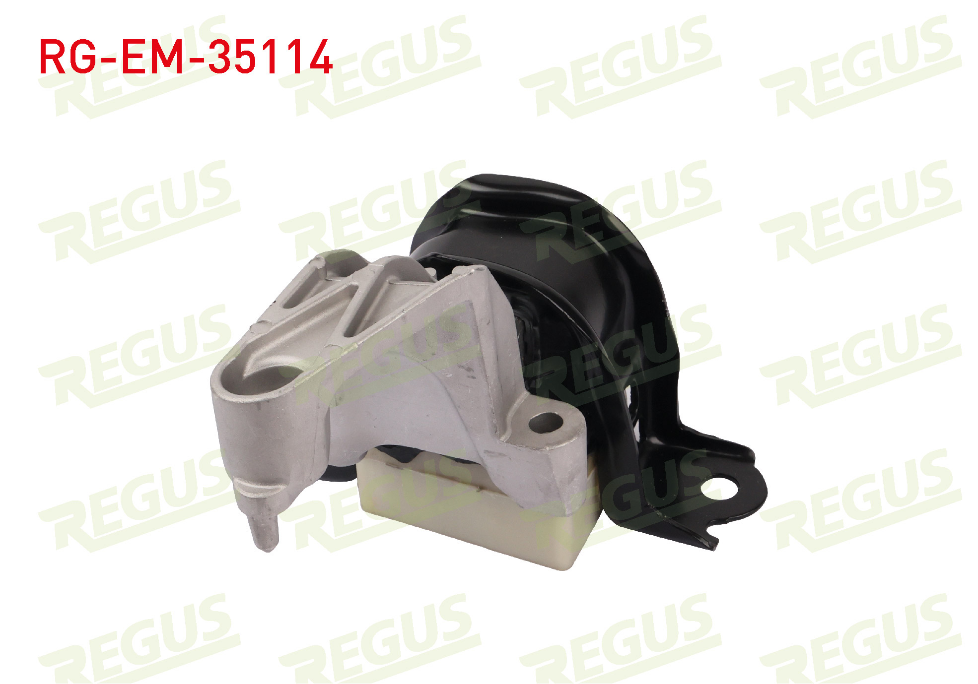 REGUS 