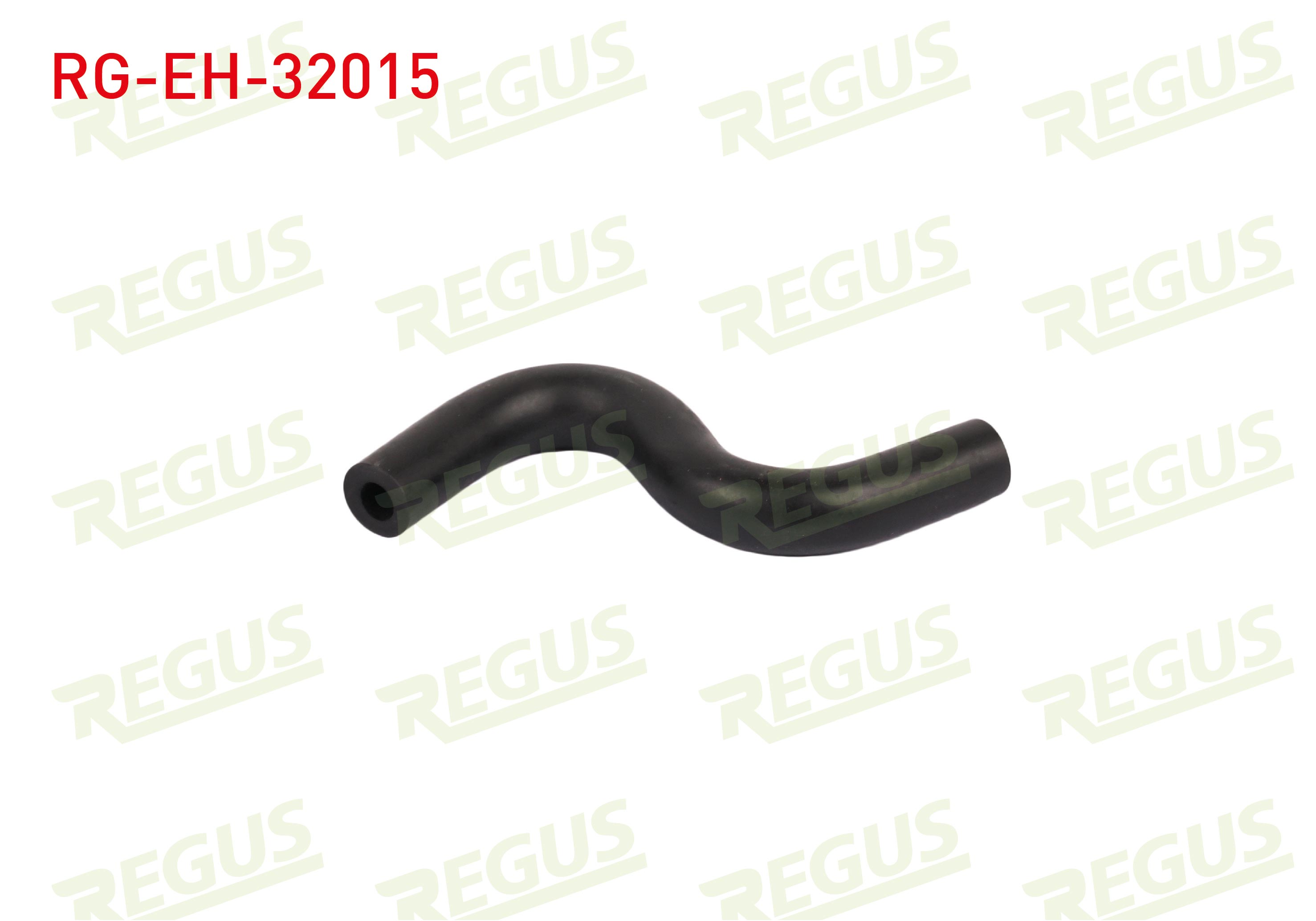 REGUS 21450