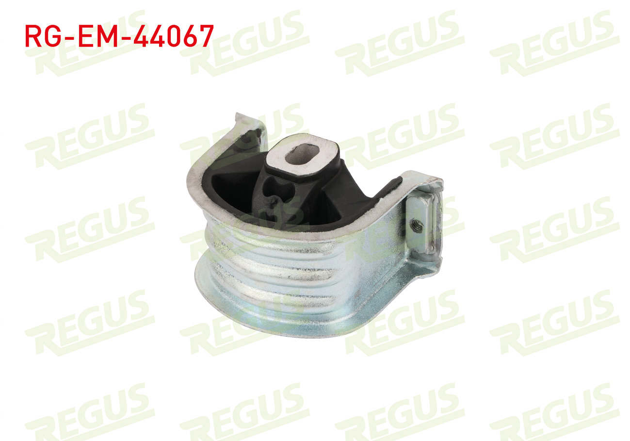 REGUS 
