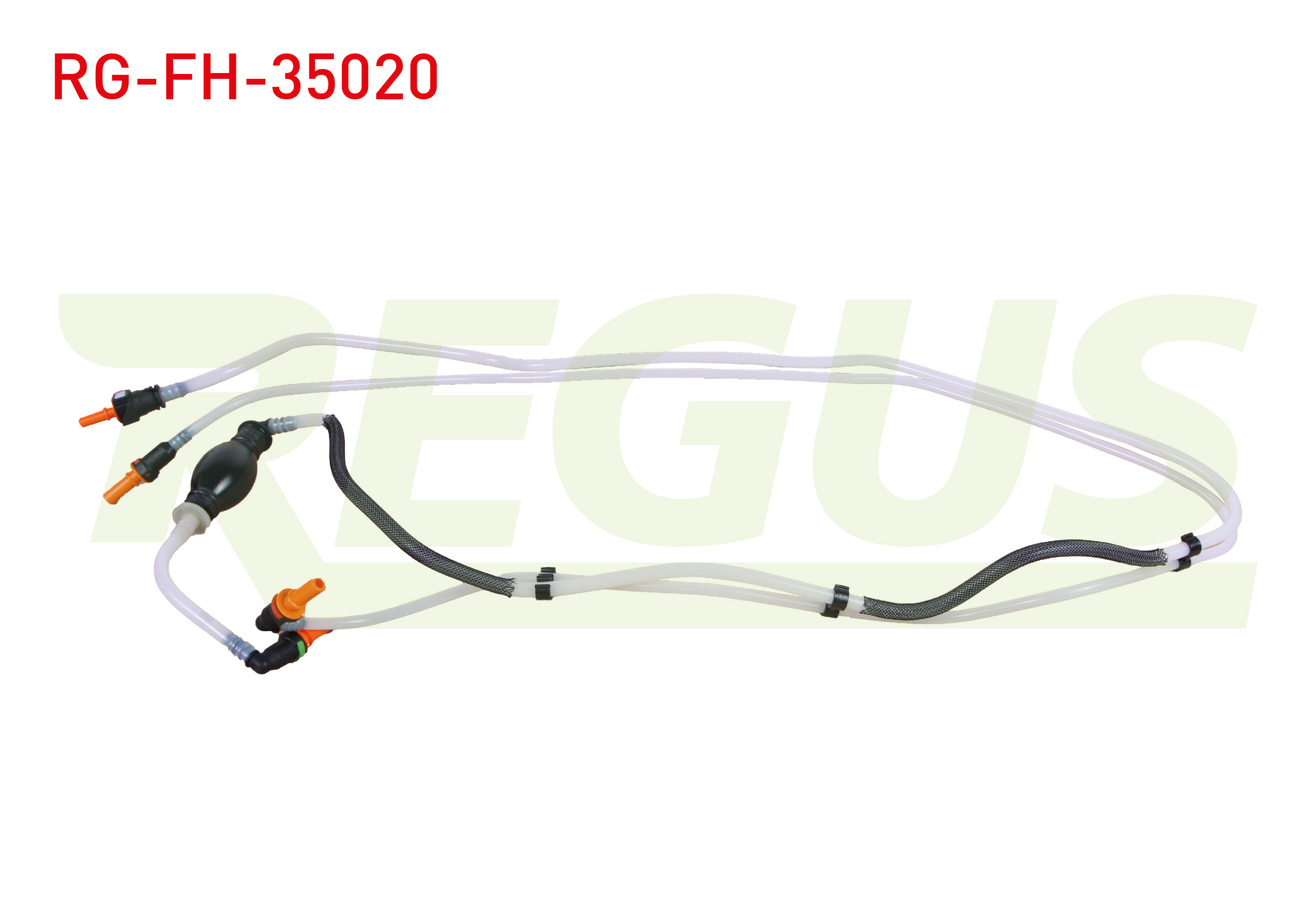 REGUS 11806