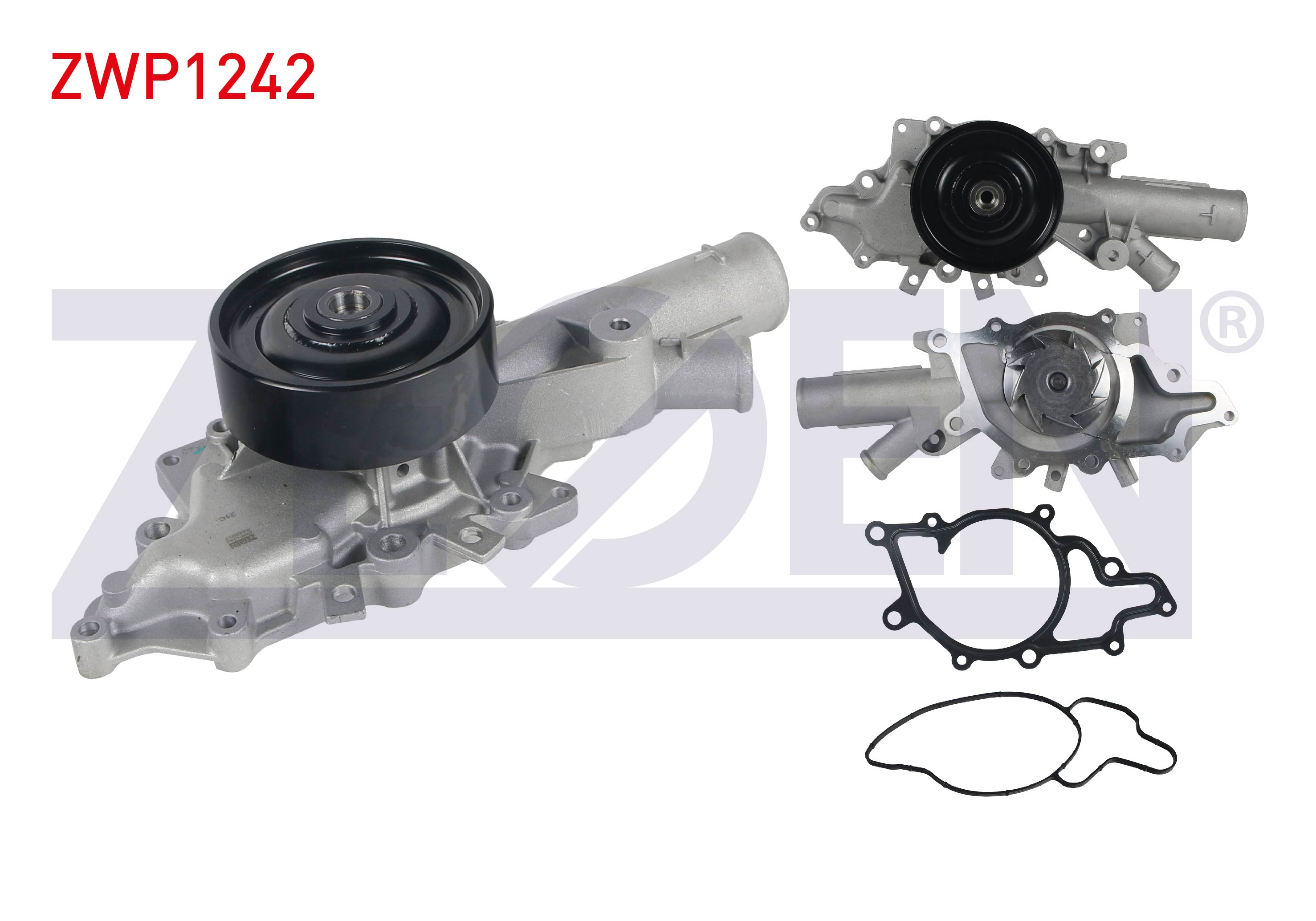 ZEGEN 980491