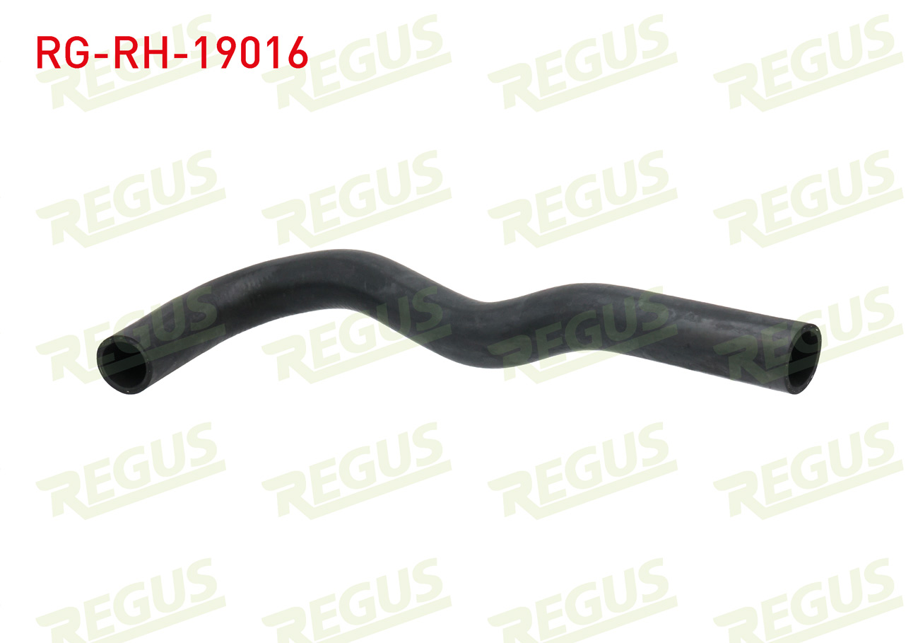 REGUS 19676 | RADYATOR HORTUMU ALT FORD TRANSIT (V184) 2.4 TDCI 2000-2006