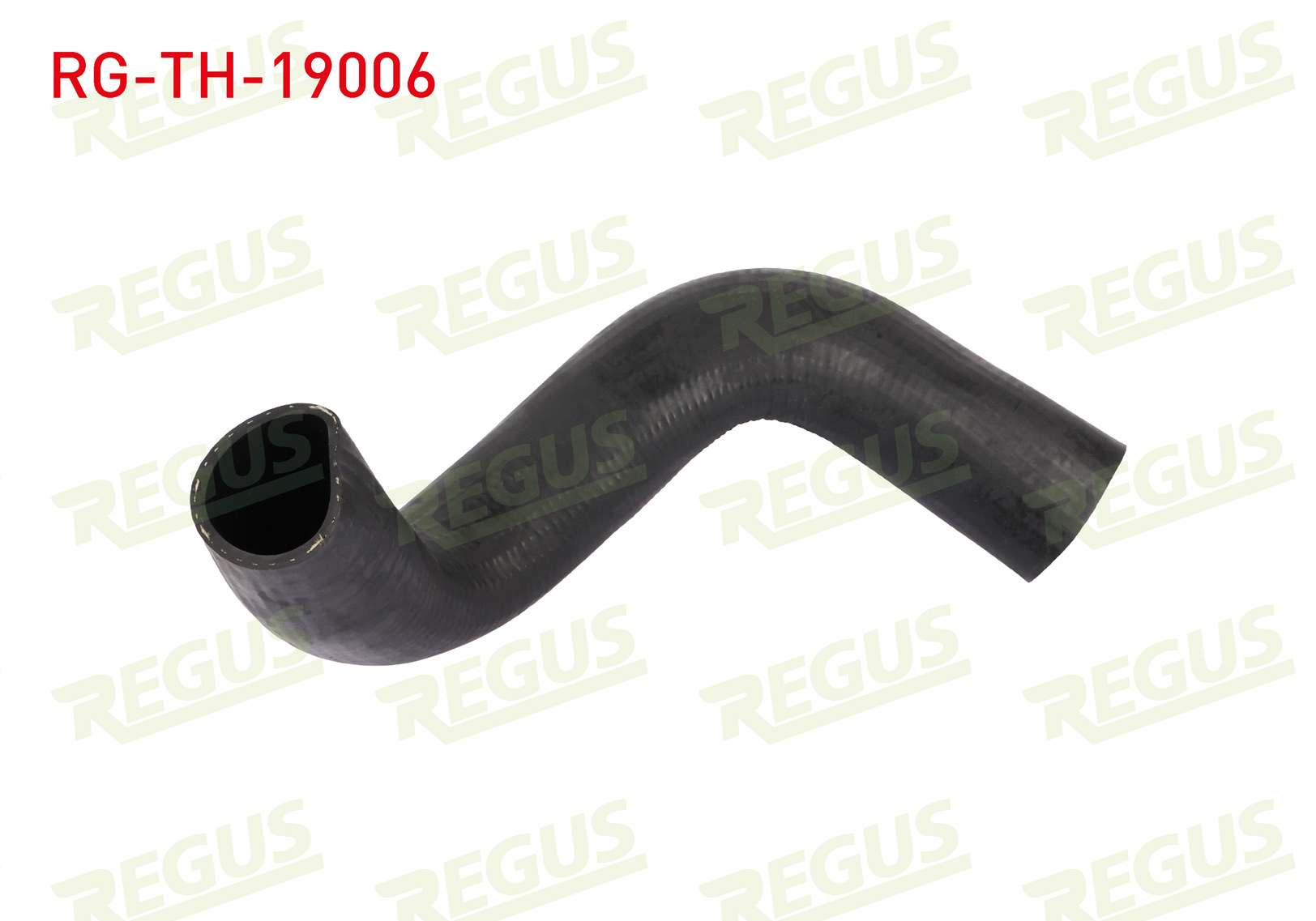 REGUS 