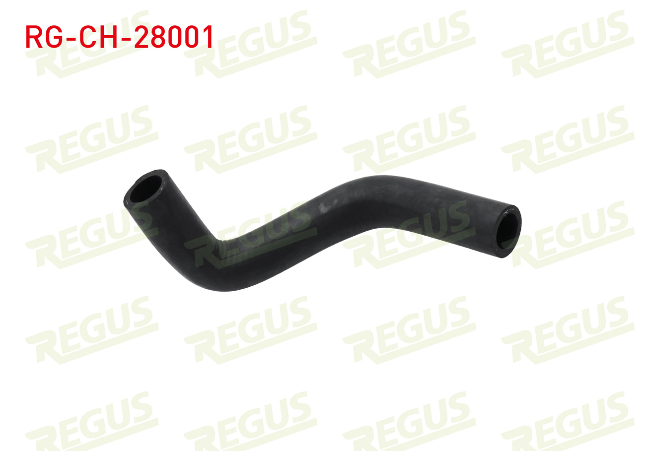 REGUS 33438