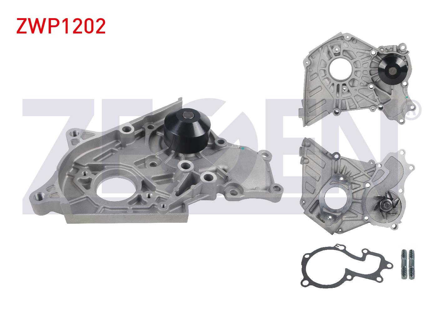 ZEGEN 987709
