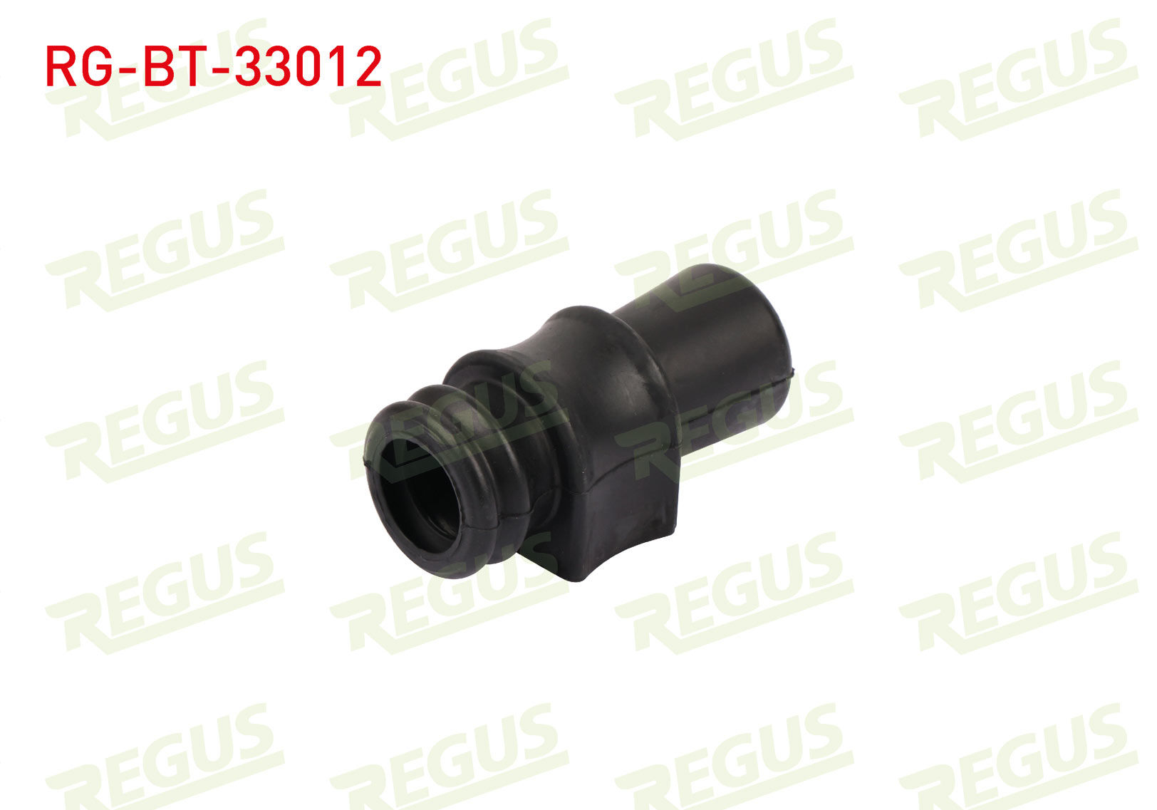REGUS 21250