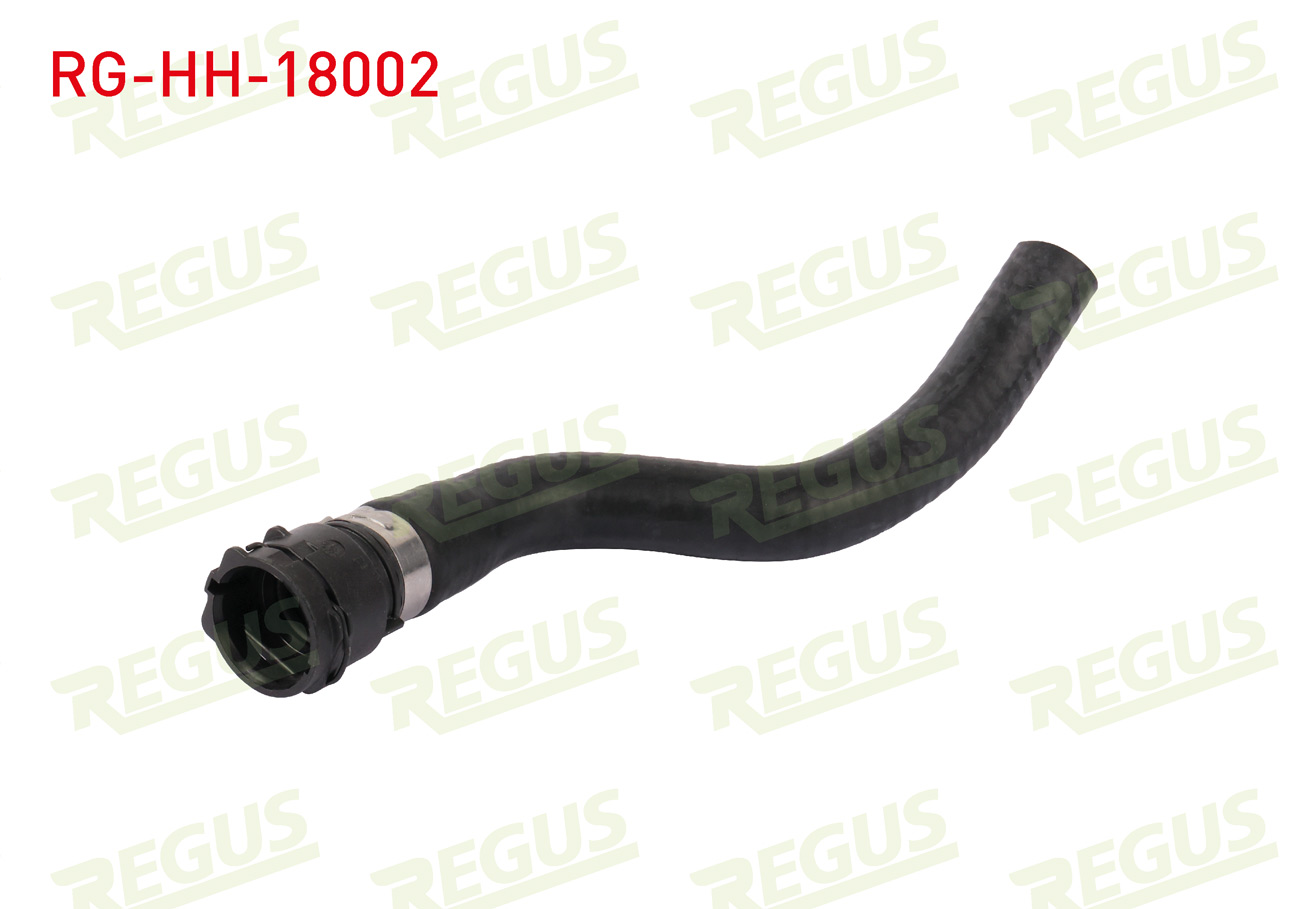 REGUS 15503