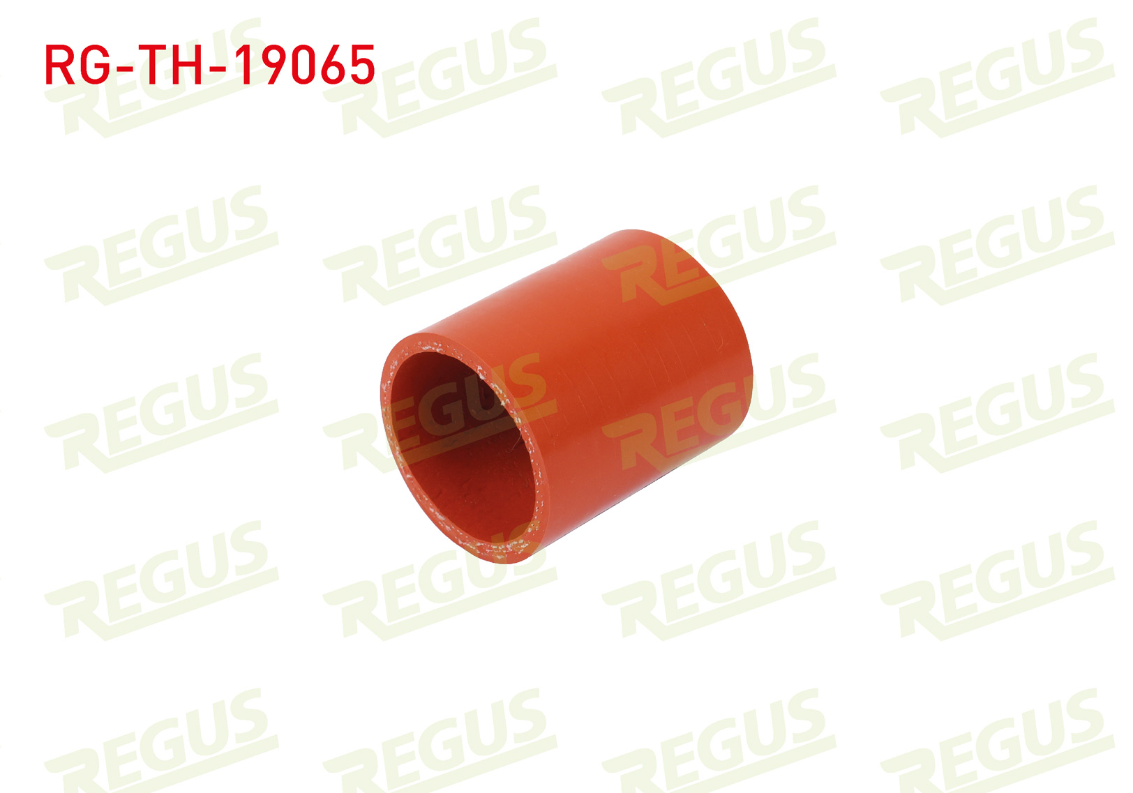 REGUS 19655