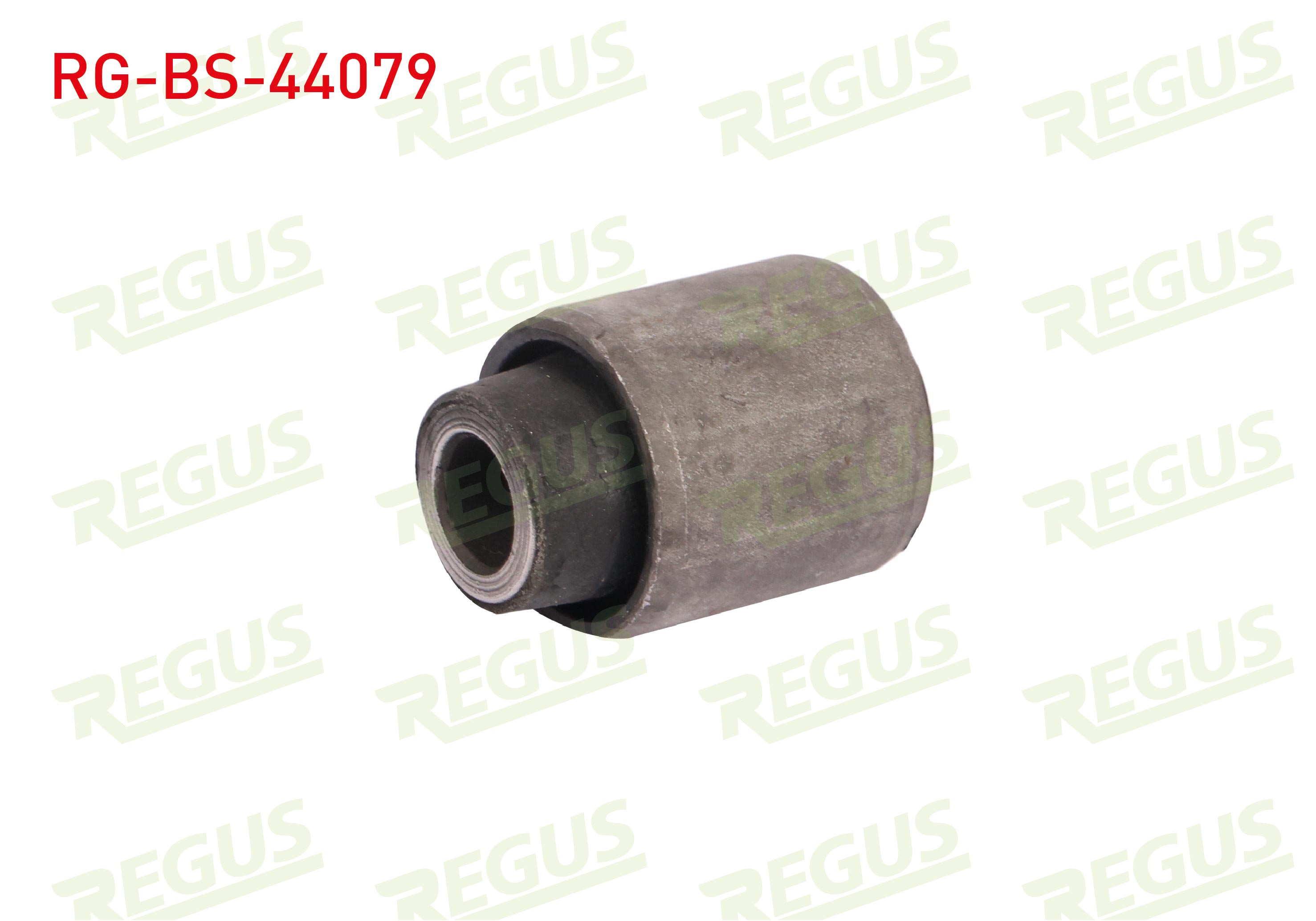 REGUS 65-10279