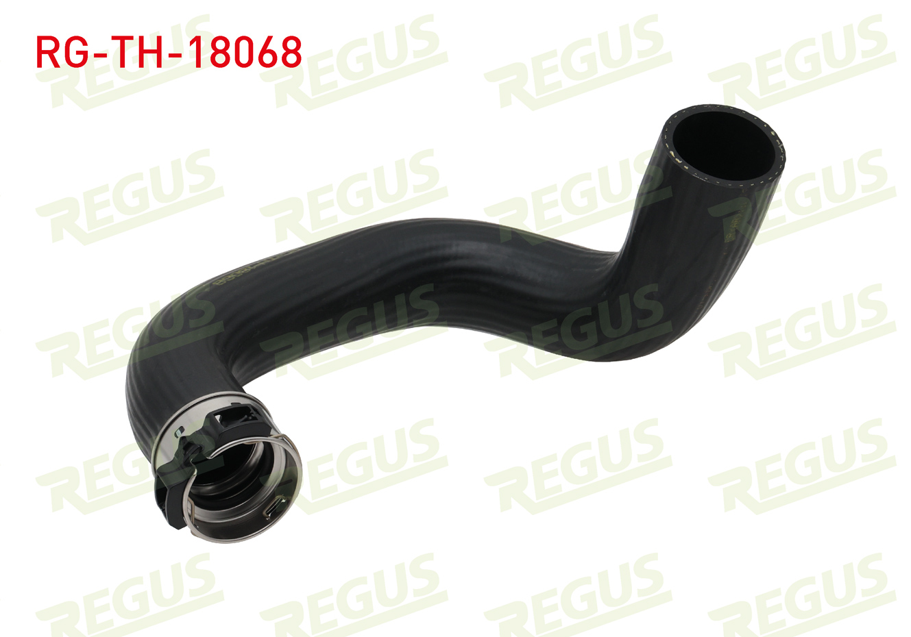 REGUS 13115