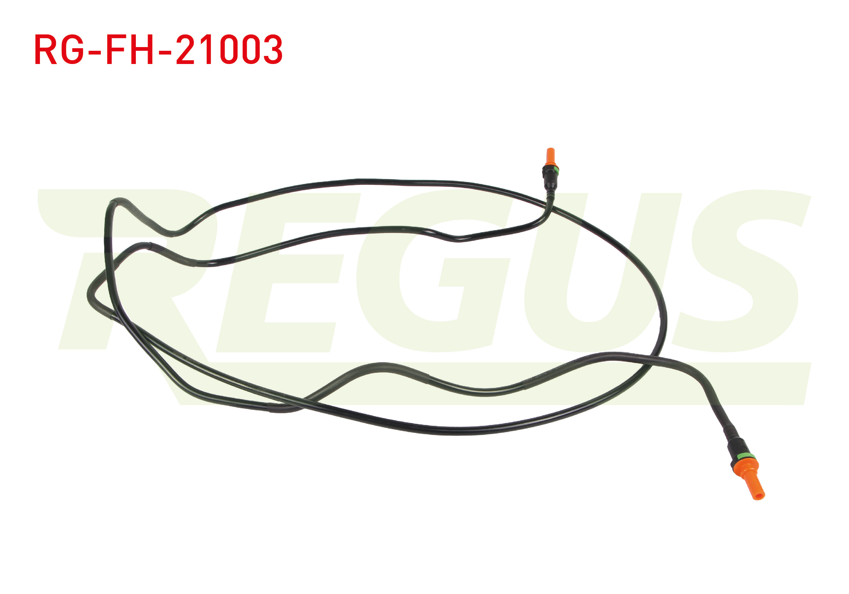 REGUS 22928