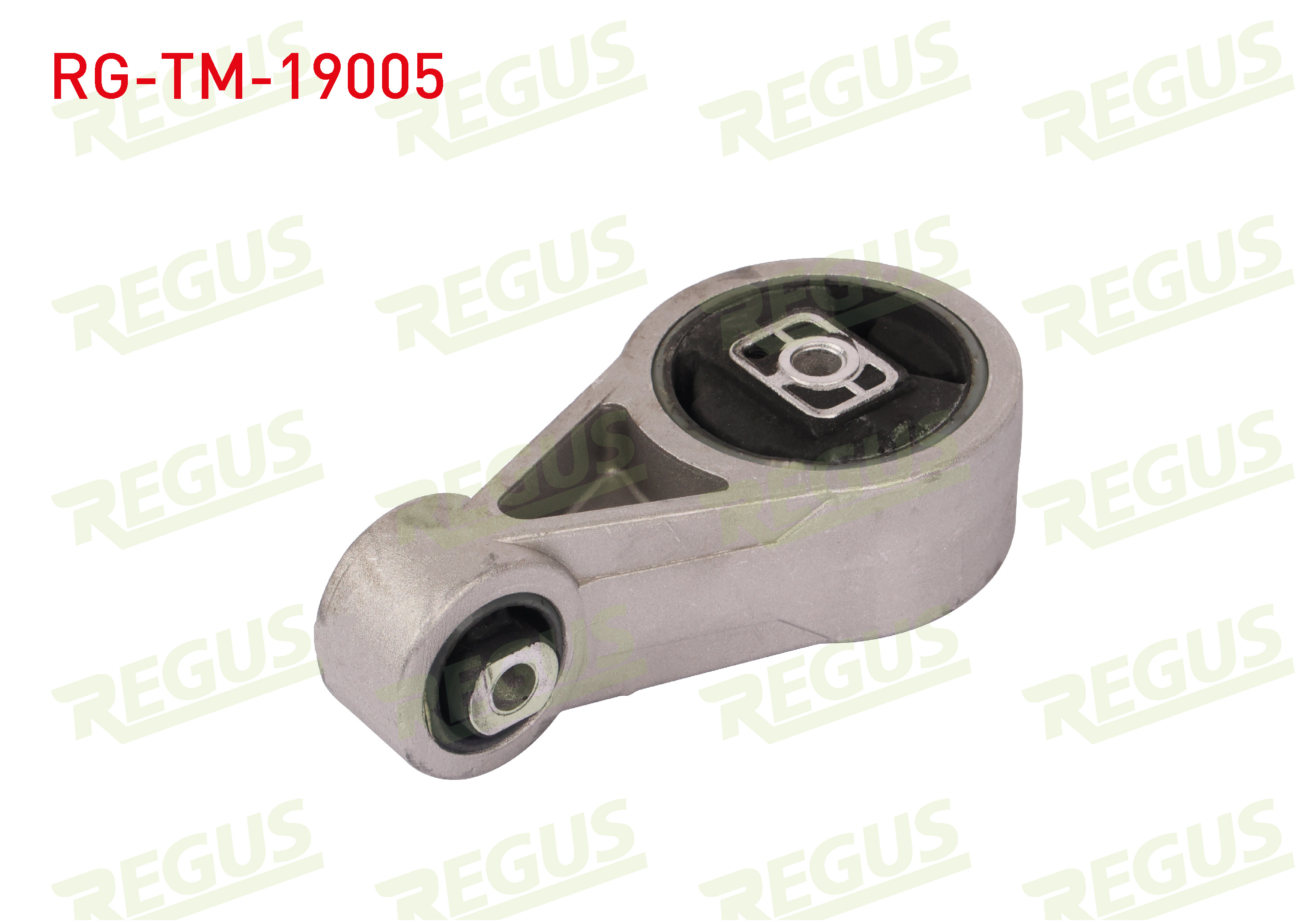 REGUS TEM005