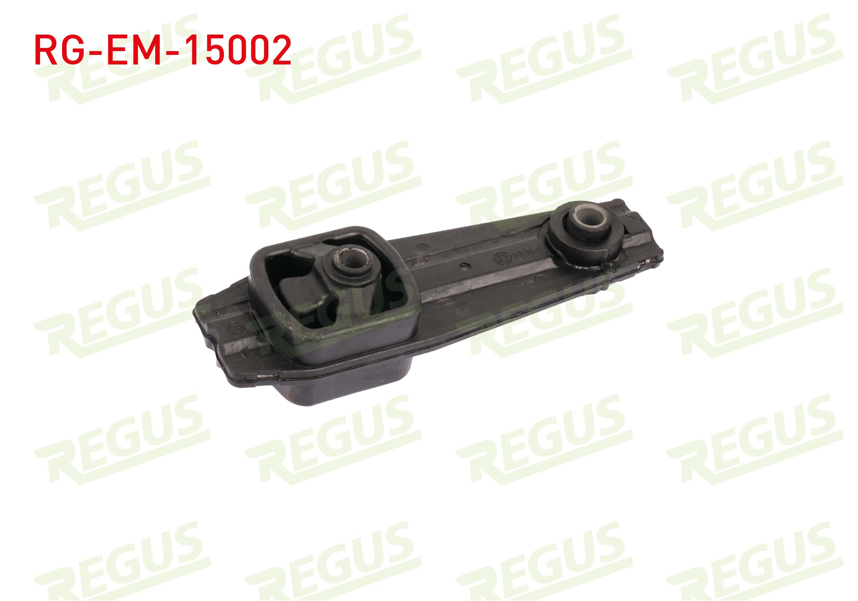 REGUS 28660