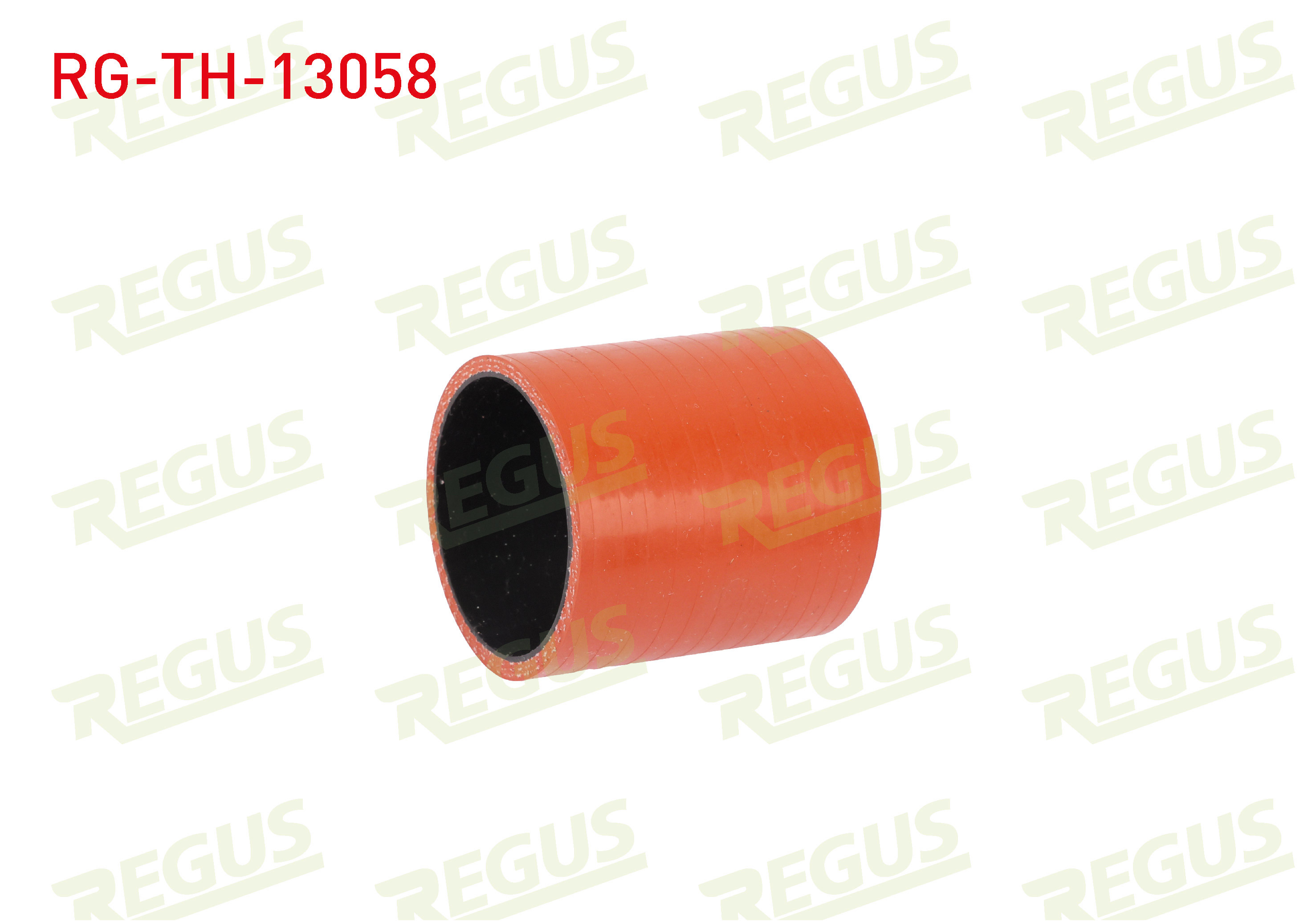 REGUS 27165