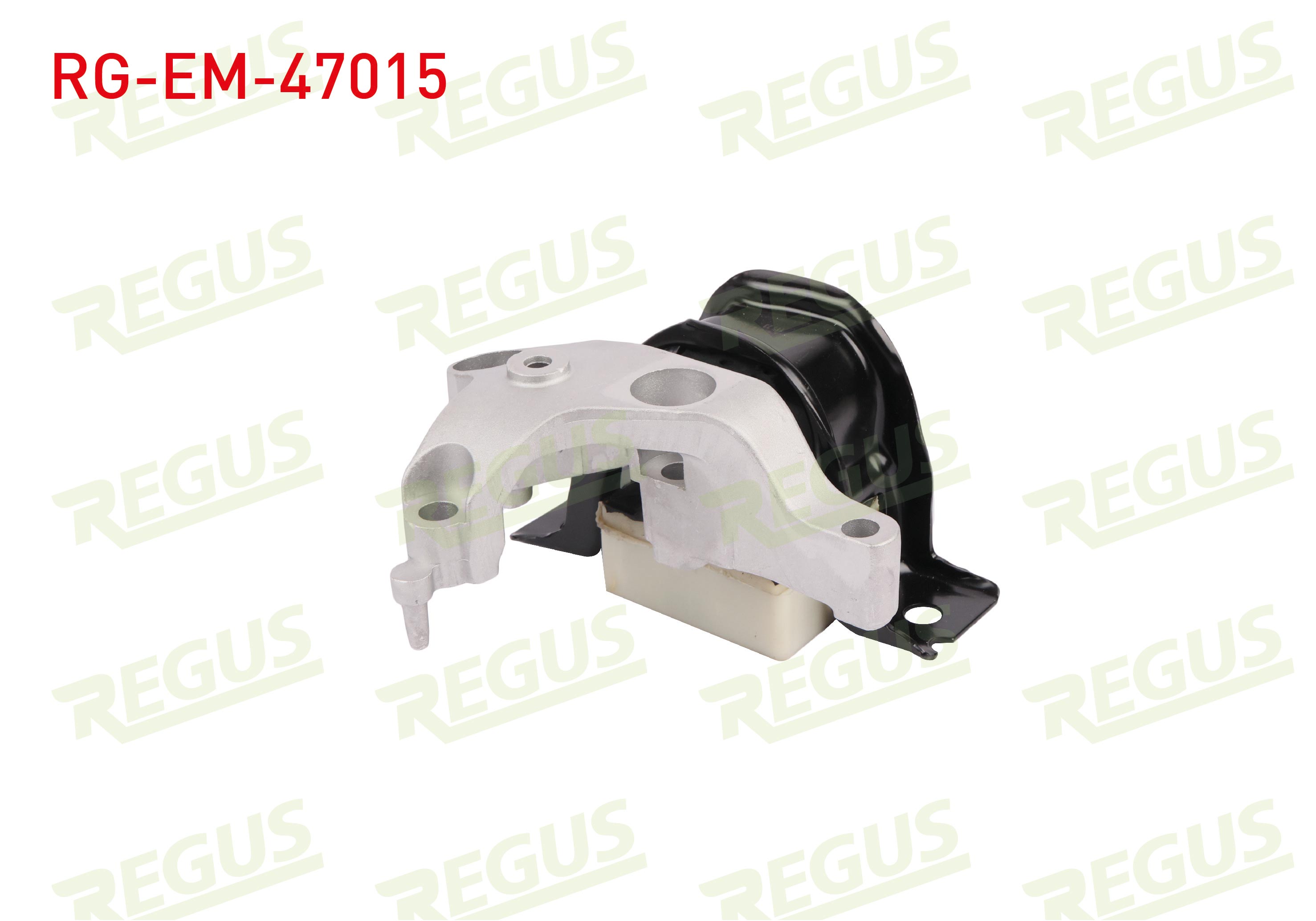 REGUS 
