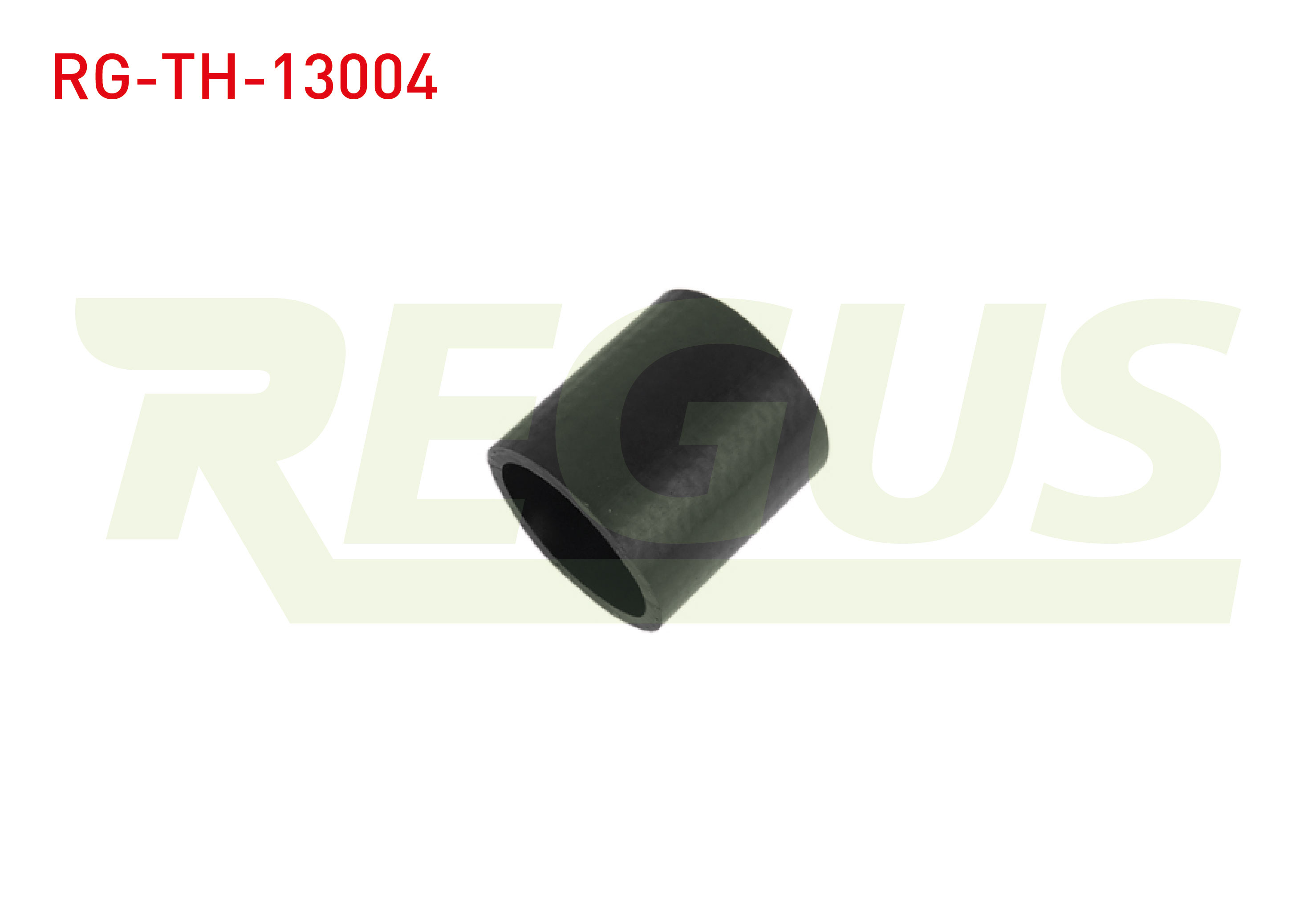 REGUS 