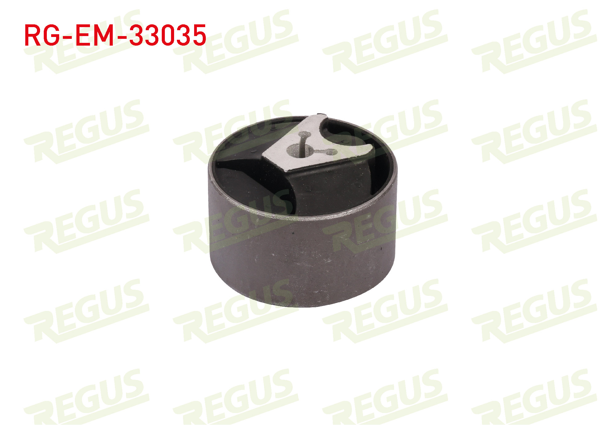 REGUS 61-12243