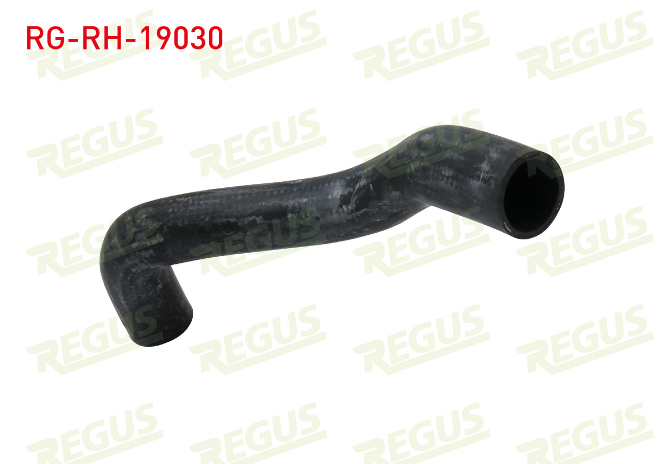 REGUS 19585