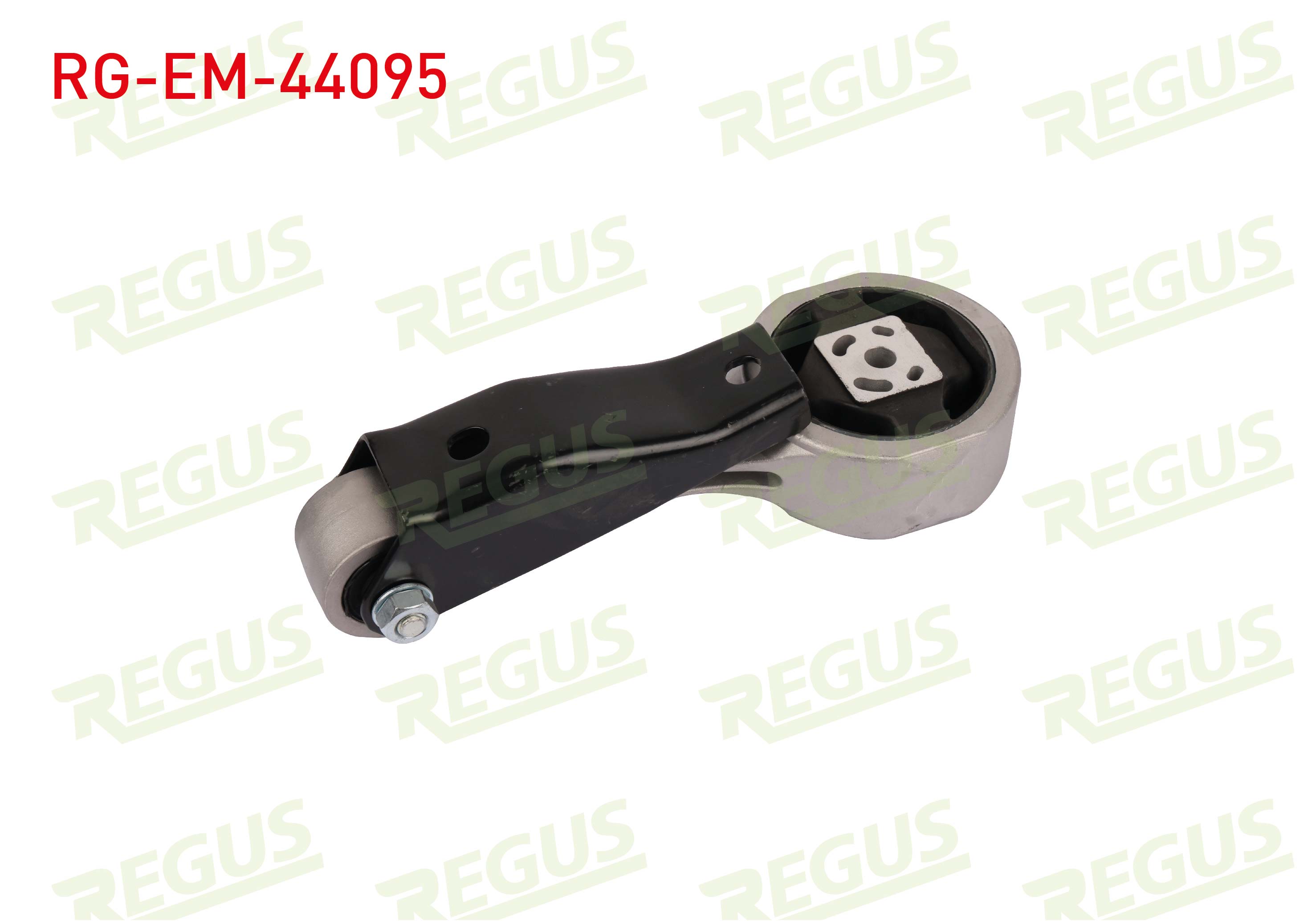 REGUS 61-13433