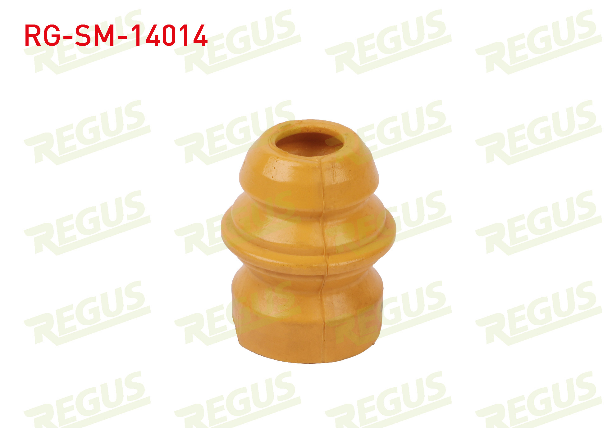 REGUS 26875