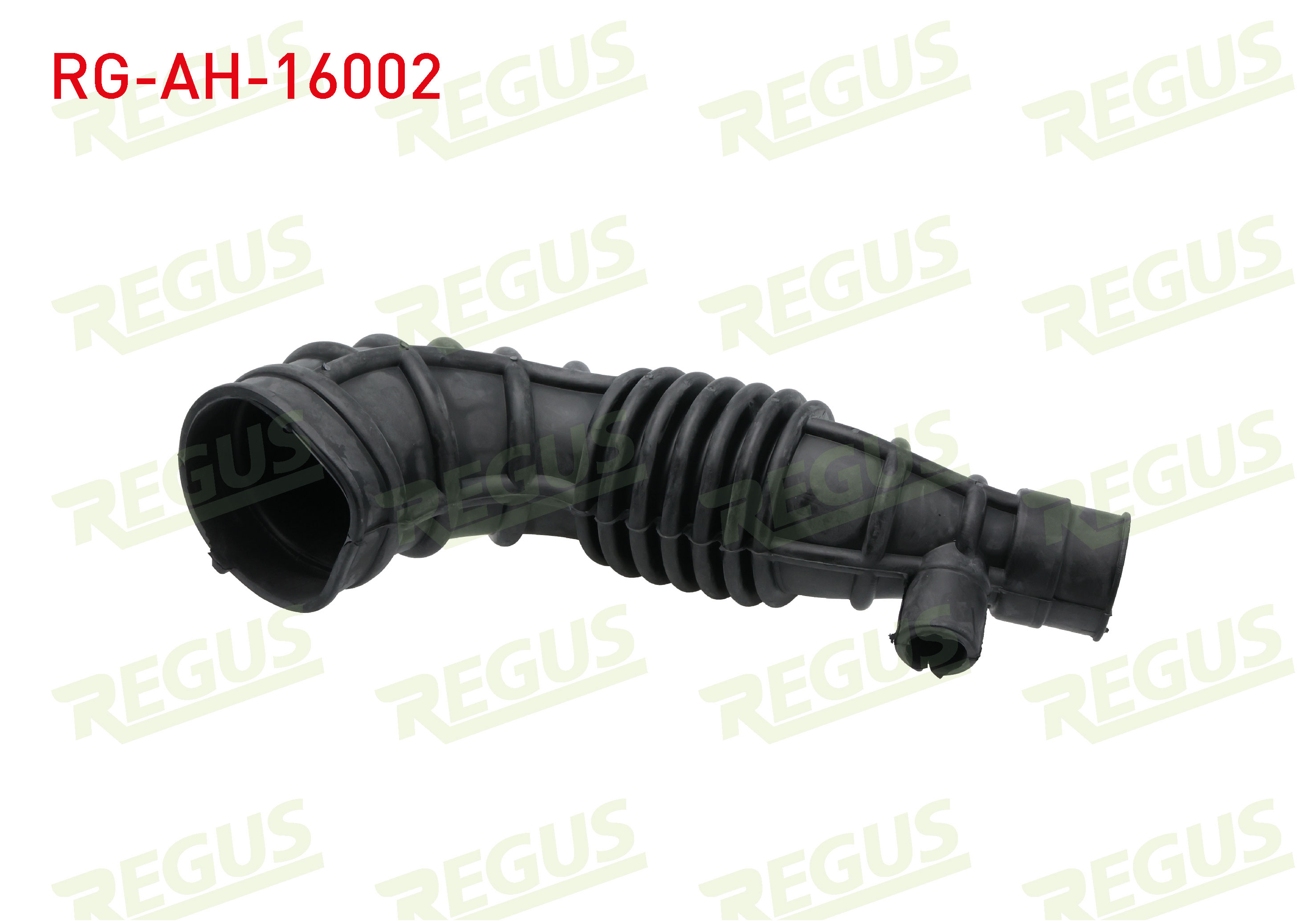 REGUS 21240