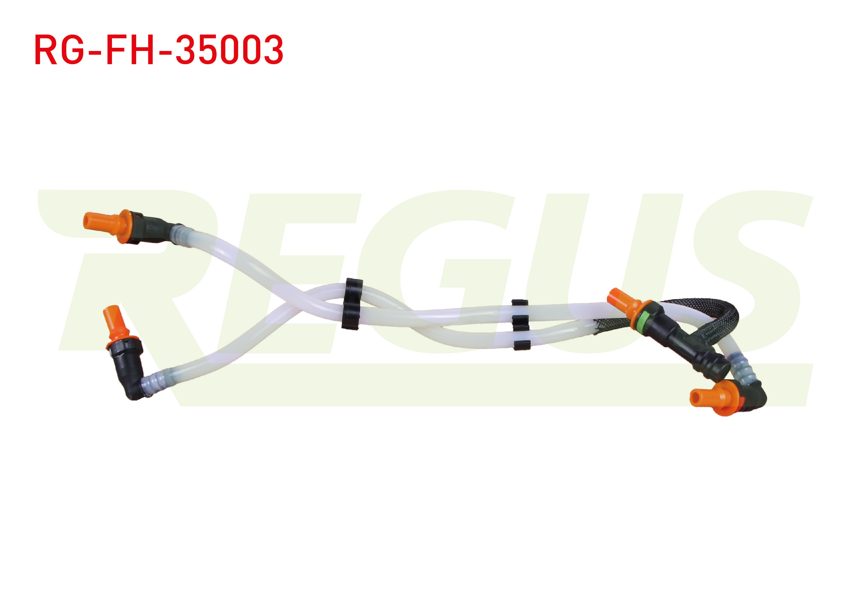 REGUS 11495