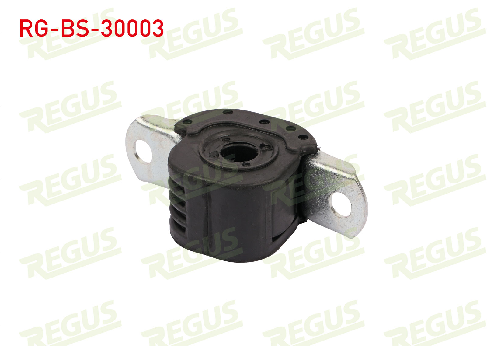 REGUS TD389W