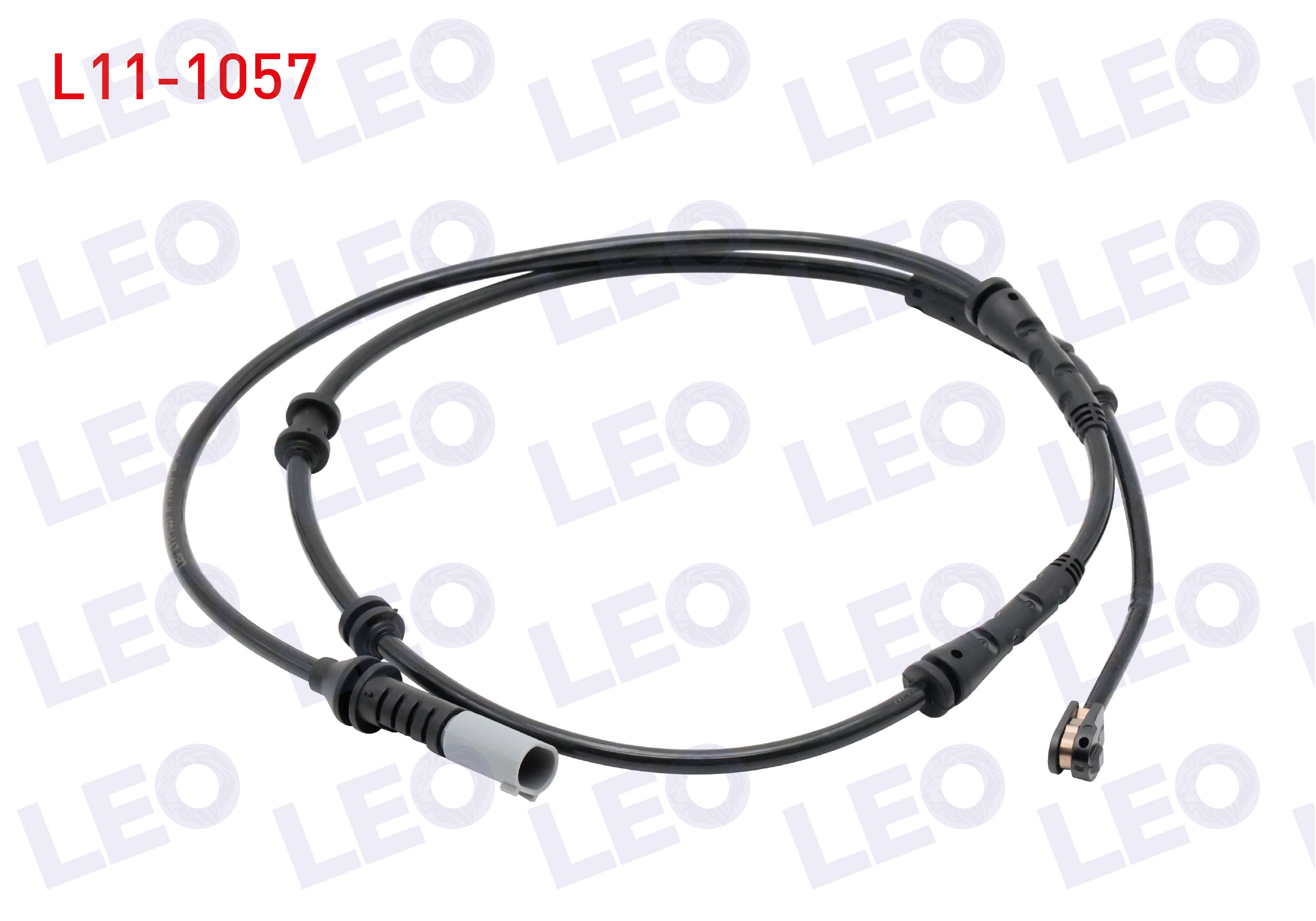 LEO 
