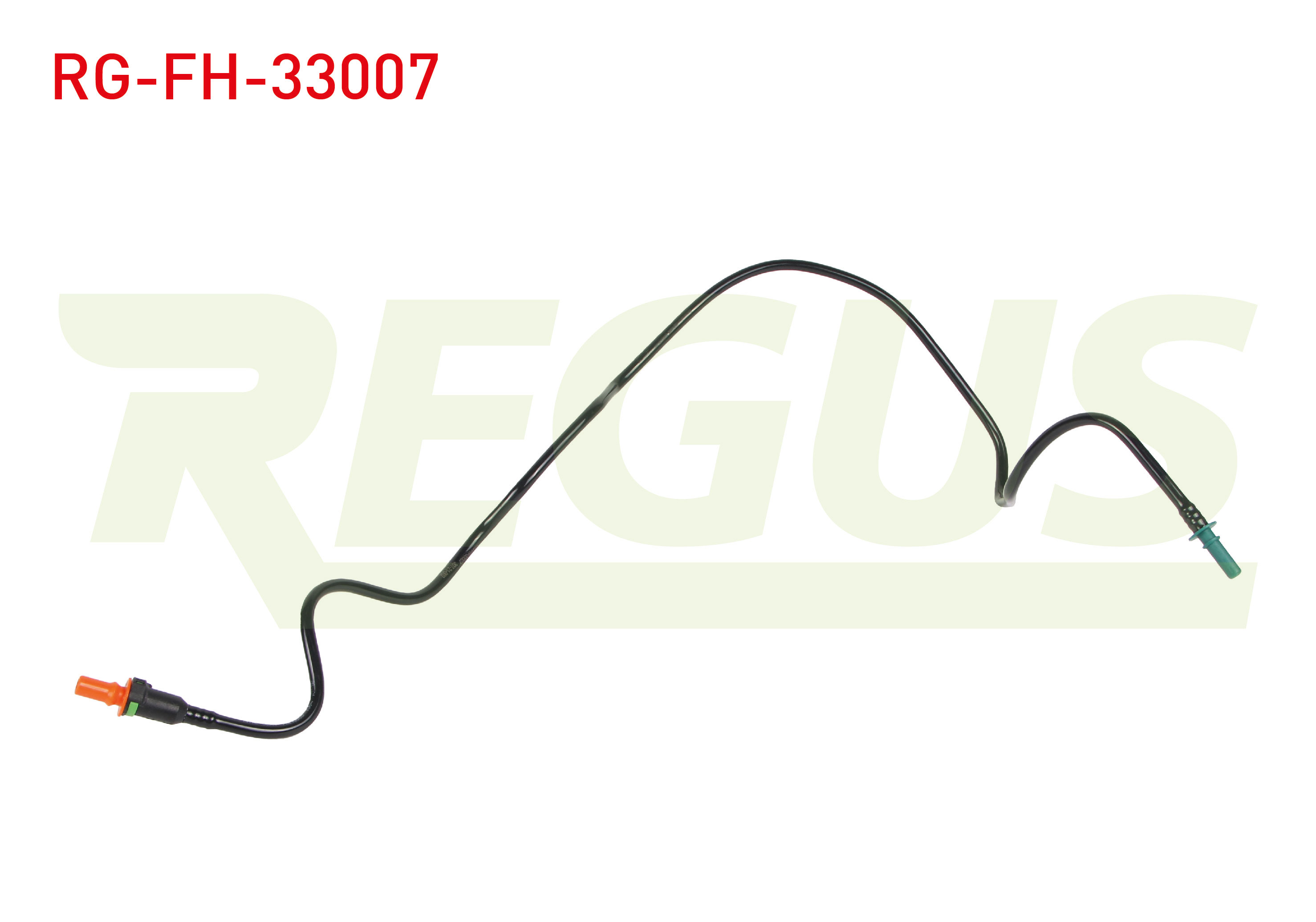 REGUS 17555