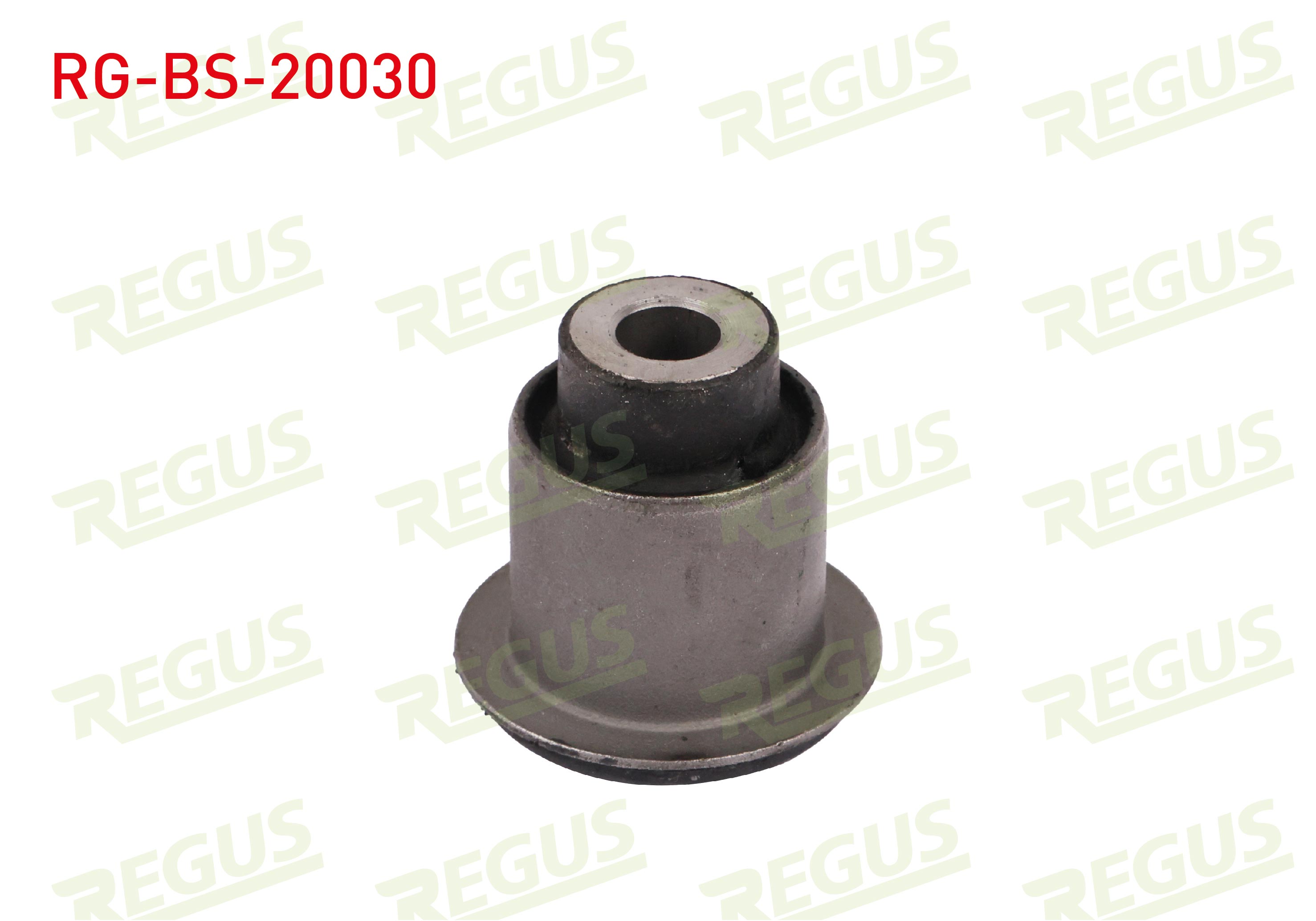 REGUS 42002
